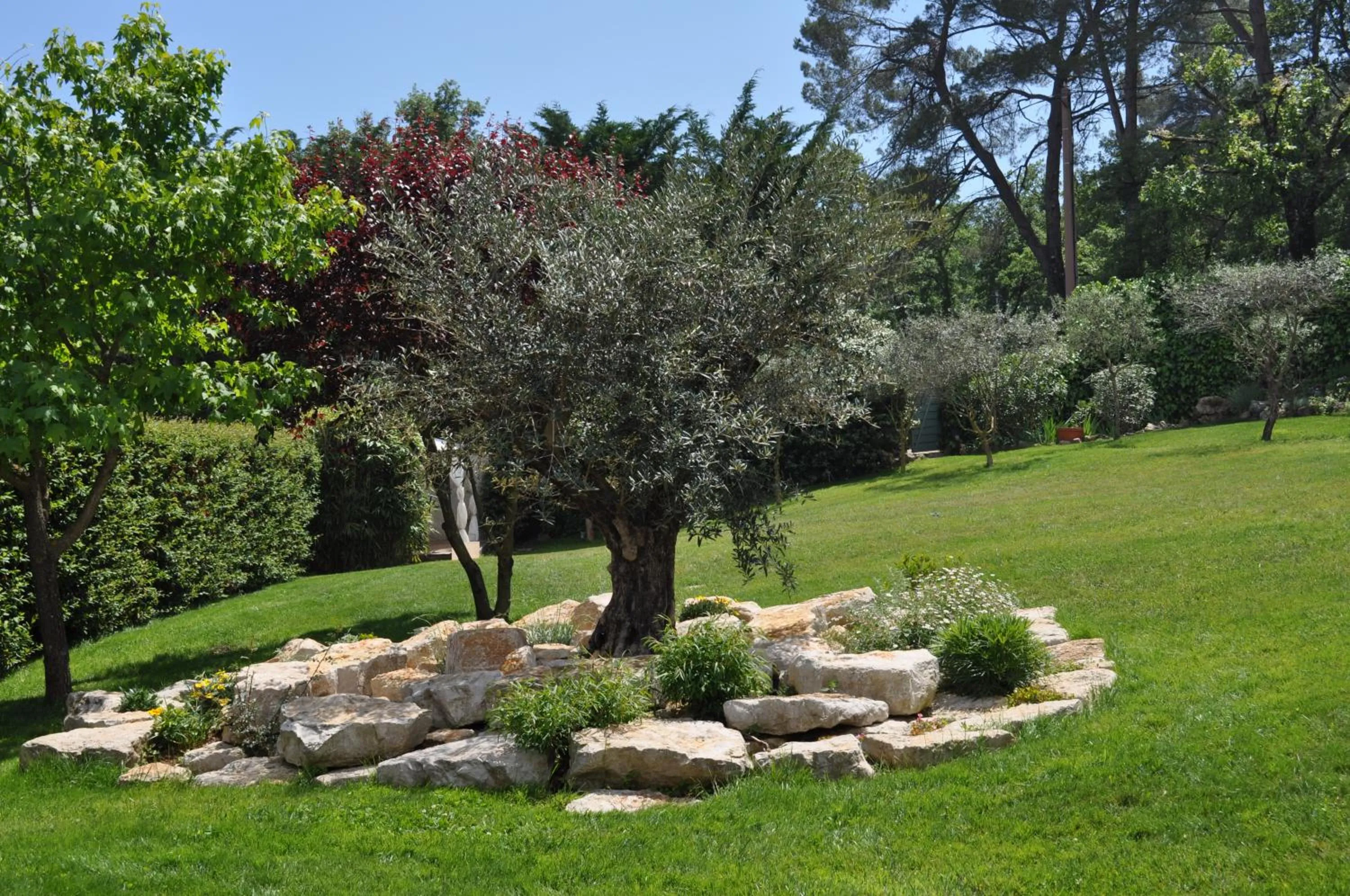 Garden view in La Bégude Du Pascouren