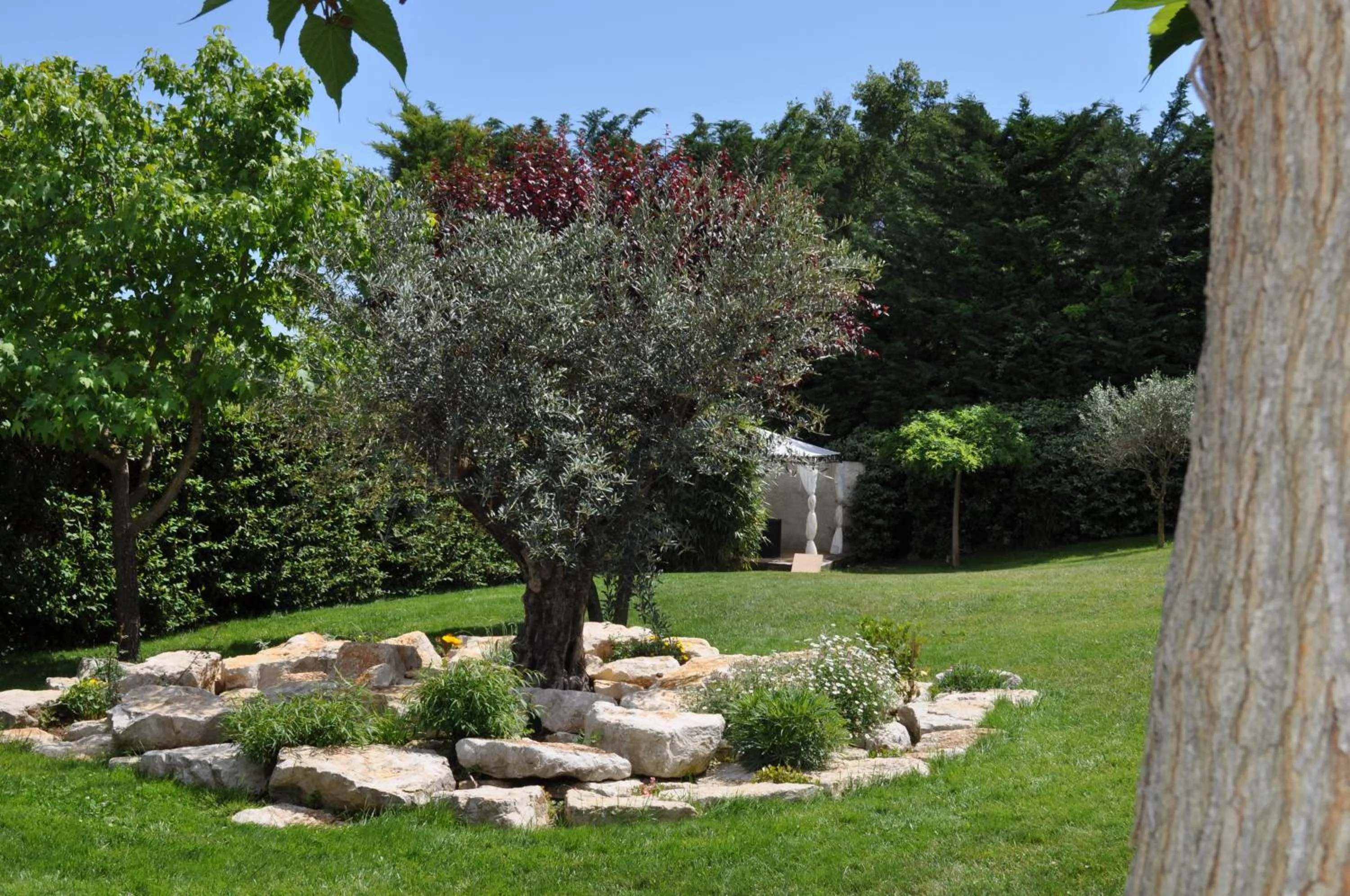 Garden in La Bégude Du Pascouren