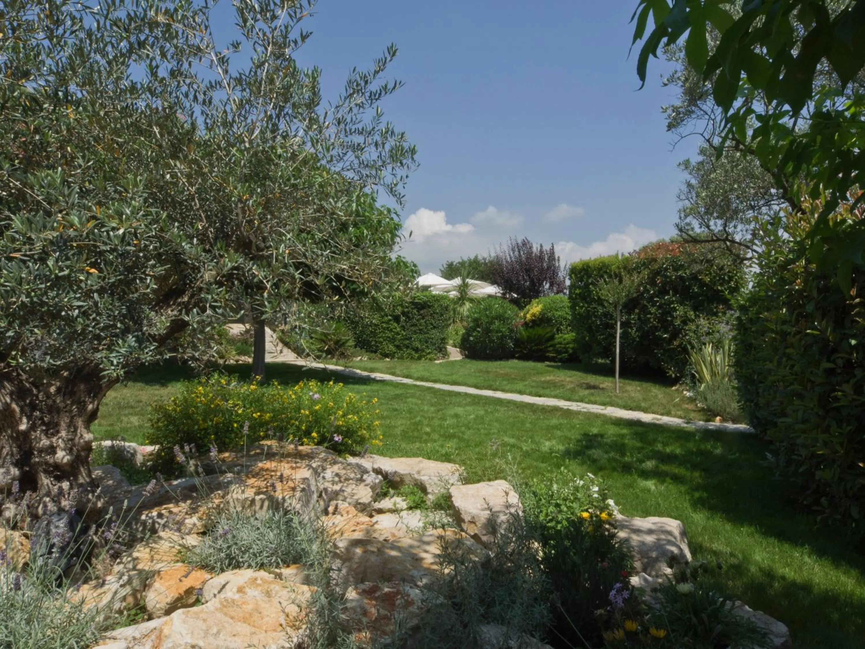 Garden in La Bégude Du Pascouren