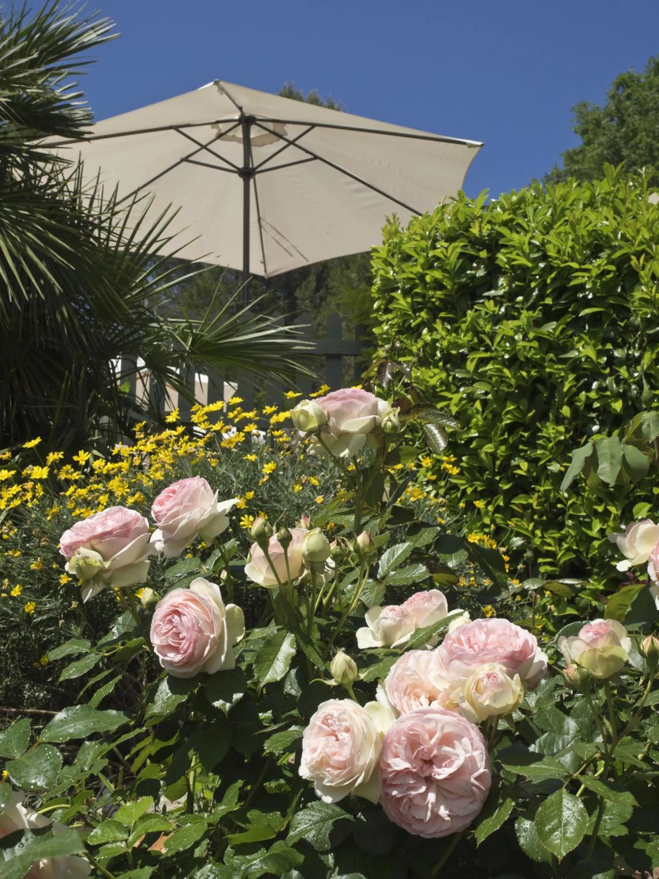 Garden view in La Bégude Du Pascouren