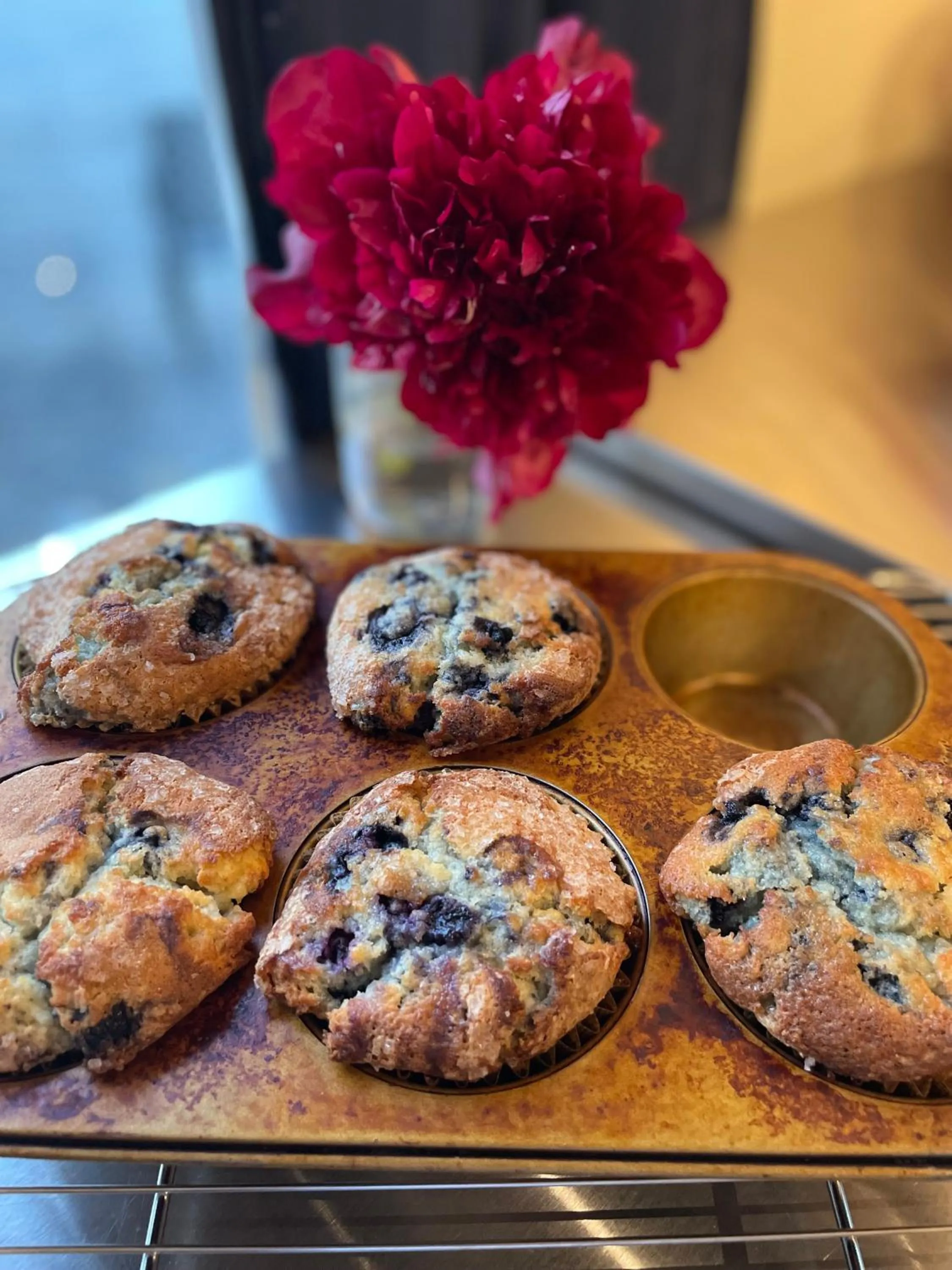 Restaurant/places to eat in Hope's Hideaway, LLC