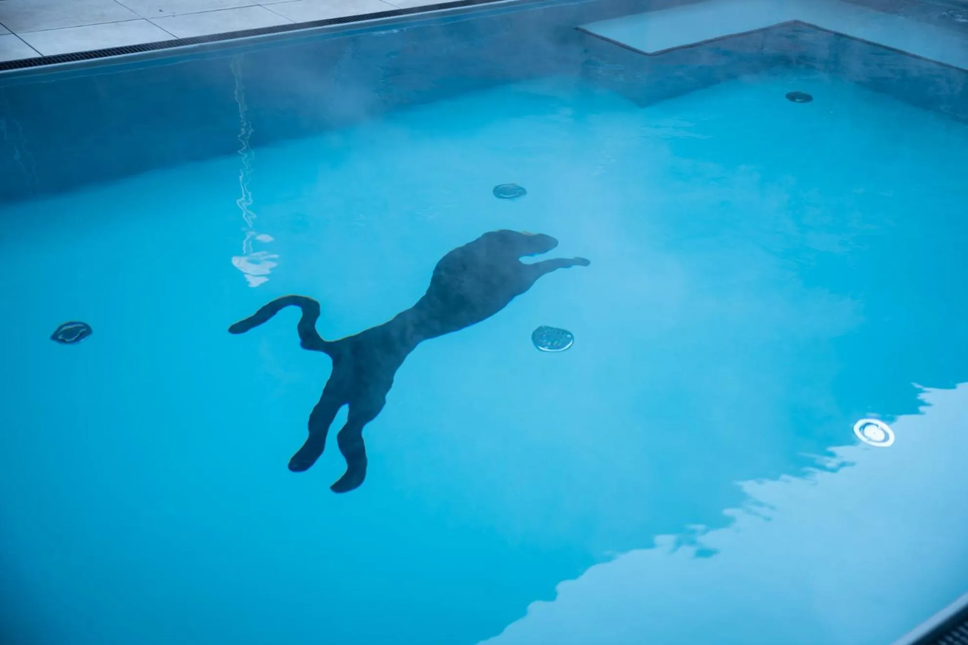 Swimming pool in Hotel Panther'A