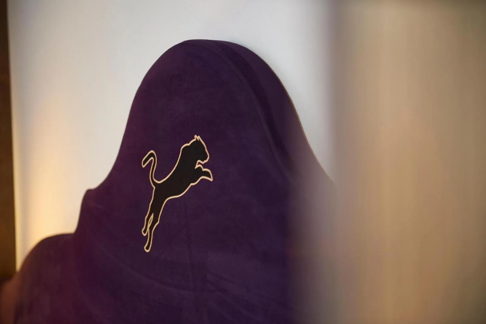 Property logo or sign in Hotel Panther'A