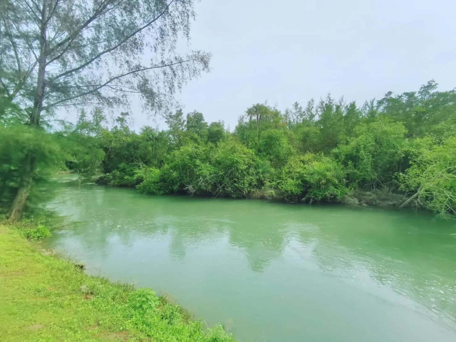 Natural landscape in Mission Hills Phuket Golf Resort-SHA Extra Plus