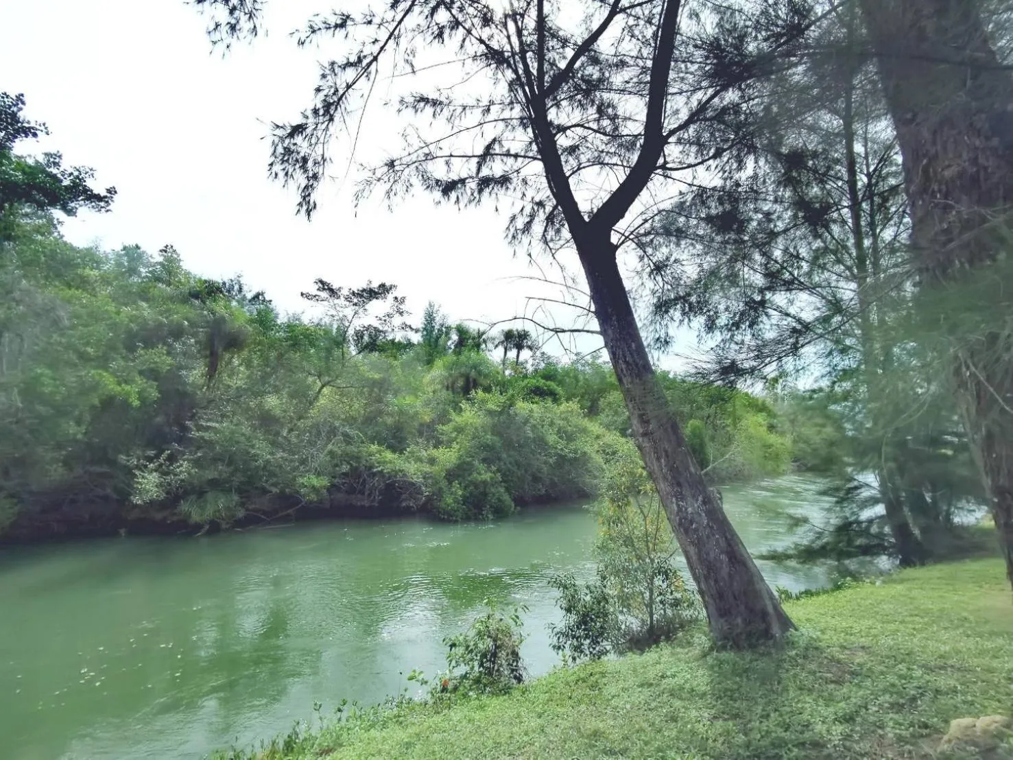 Day in Mission Hills Phuket Golf Resort-SHA Extra Plus