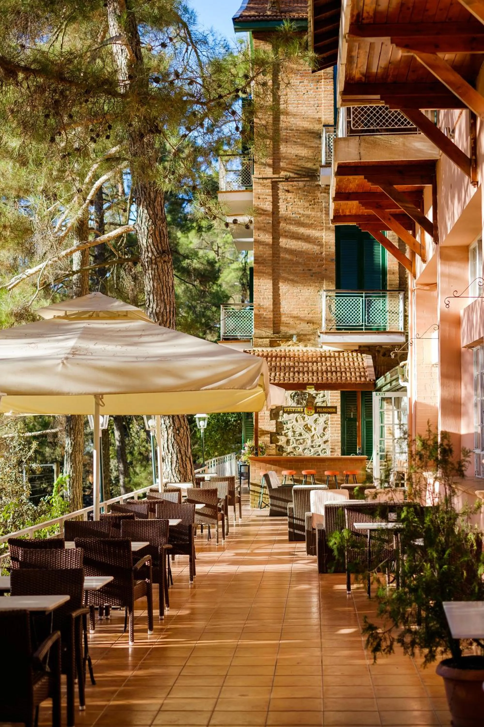 Restaurant/places to eat in New Helvetia Historic Hotel