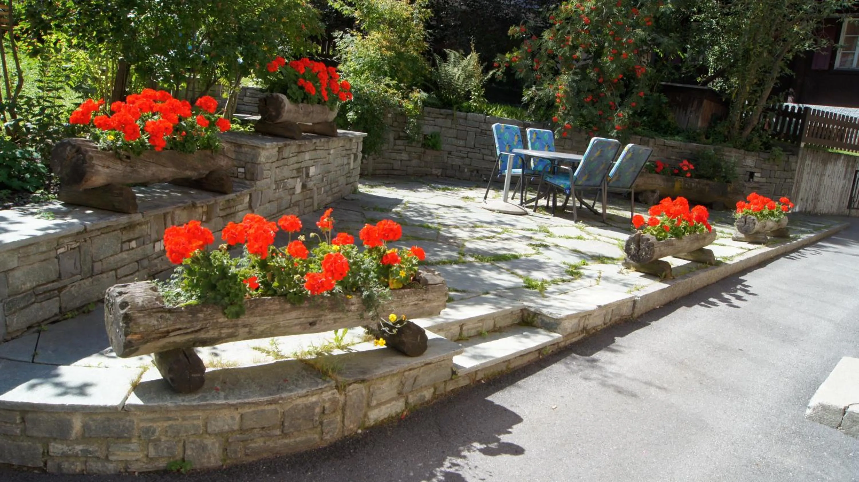 Balcony/Terrace in Hotel Alpina