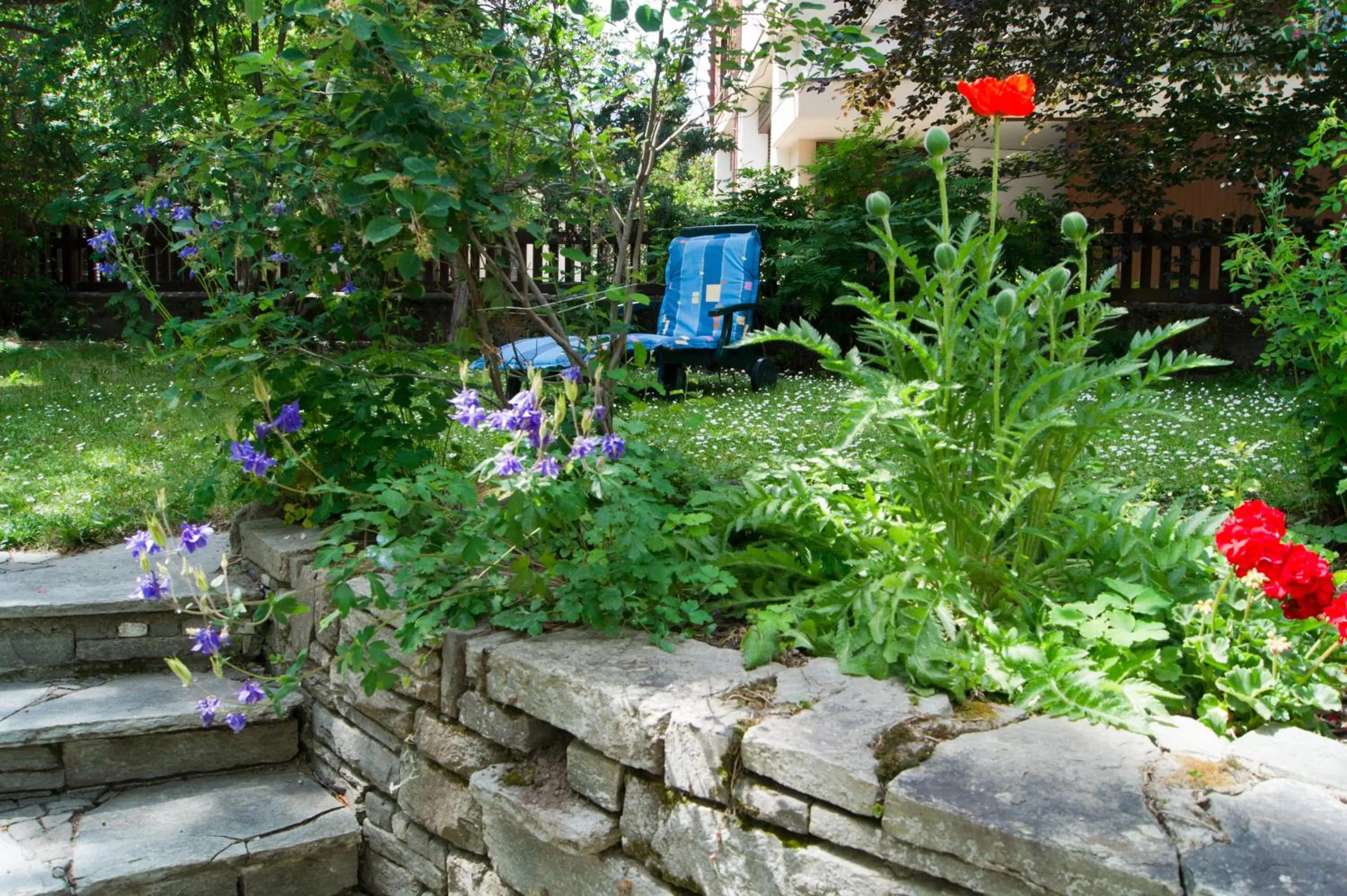Garden in Hotel Alpina