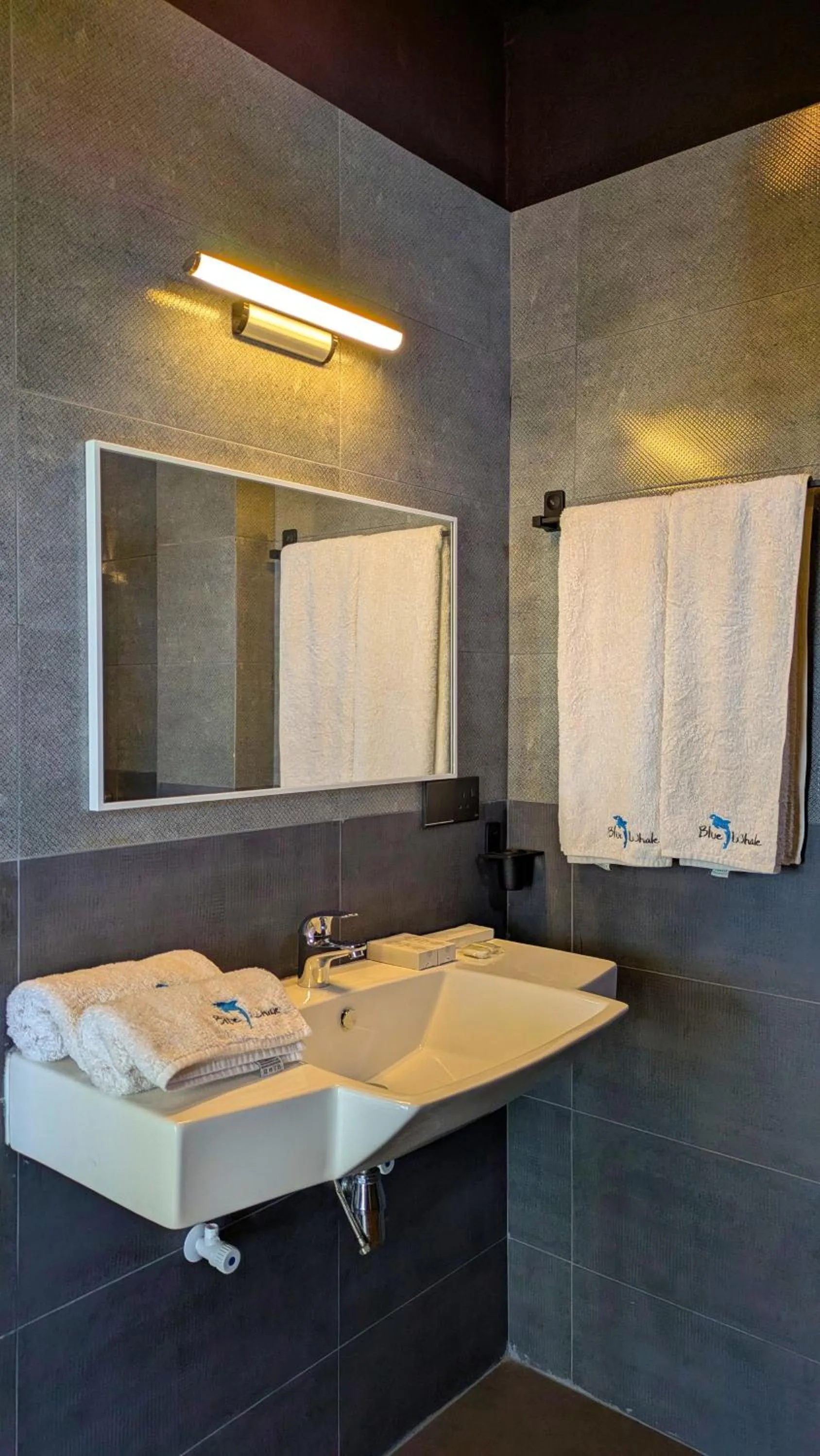 Blue Whale Resort & Kite Surfing