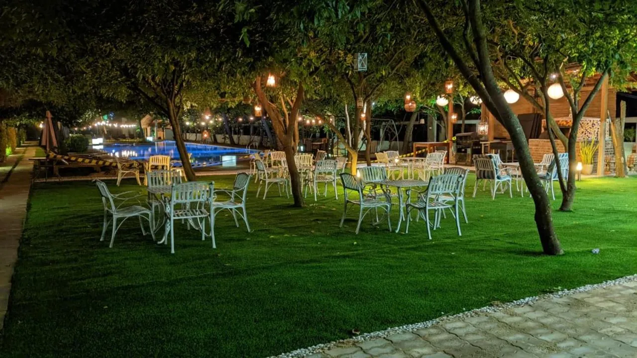 Night in Blue Whale Resort & Kite Surfing