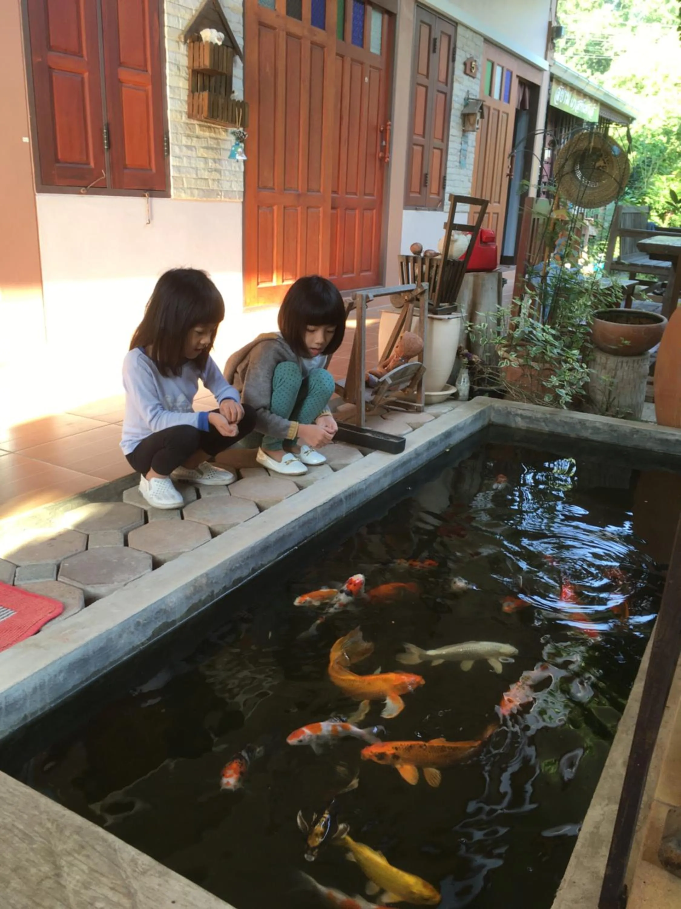 Activities in Siam Guesthouse