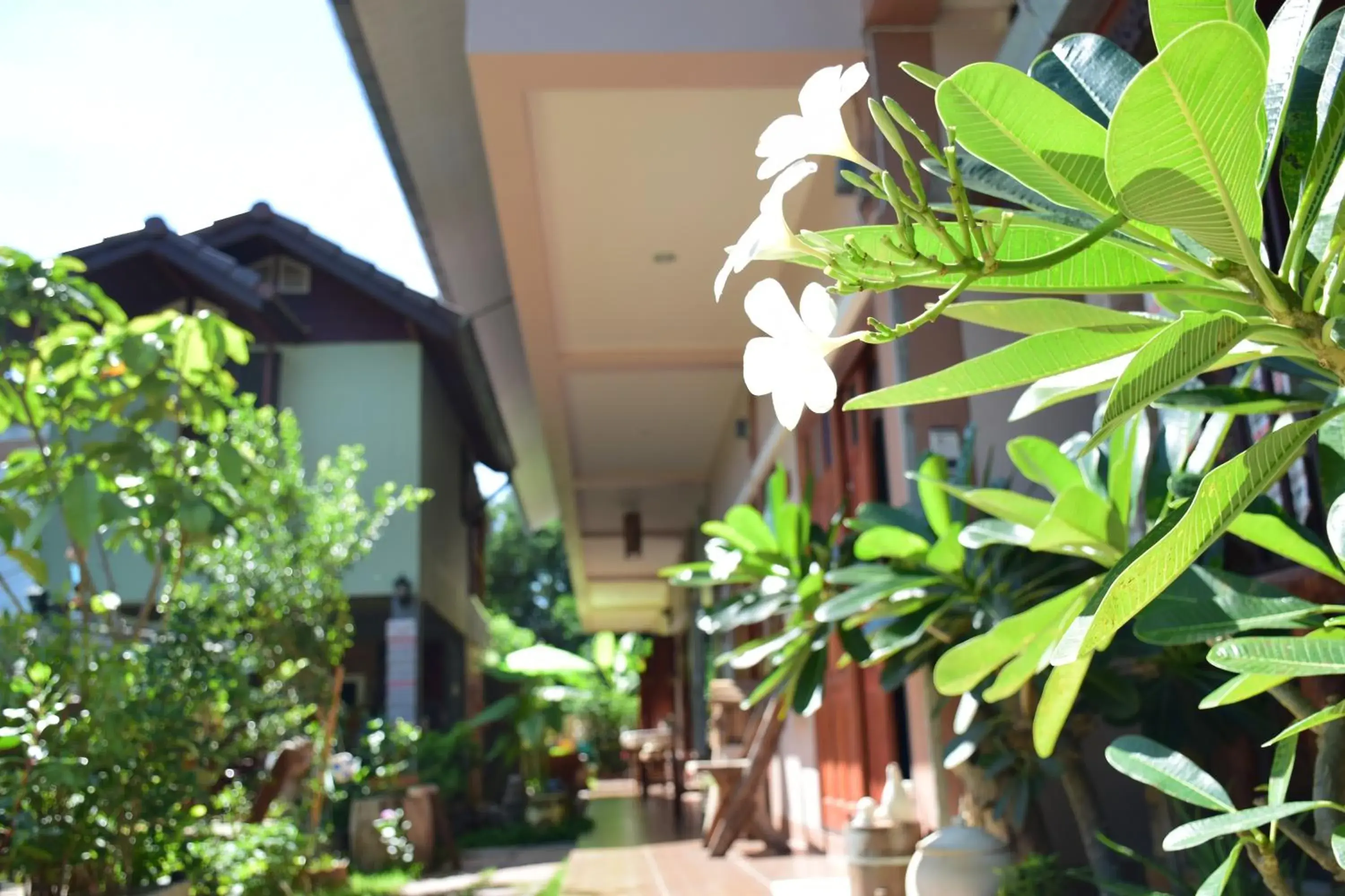 Facade/entrance in Siam Guesthouse Facade/entrance in Siam Guesthouse