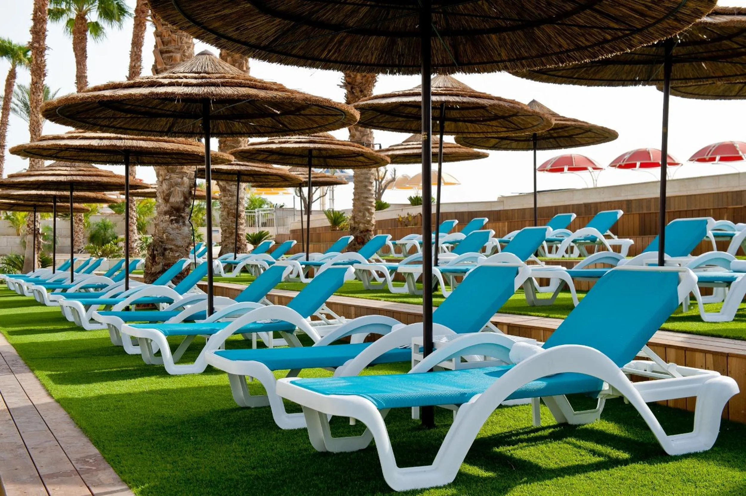 Balcony/Terrace in Herods Dead Sea – A Premium Collection by Fattal Hotels