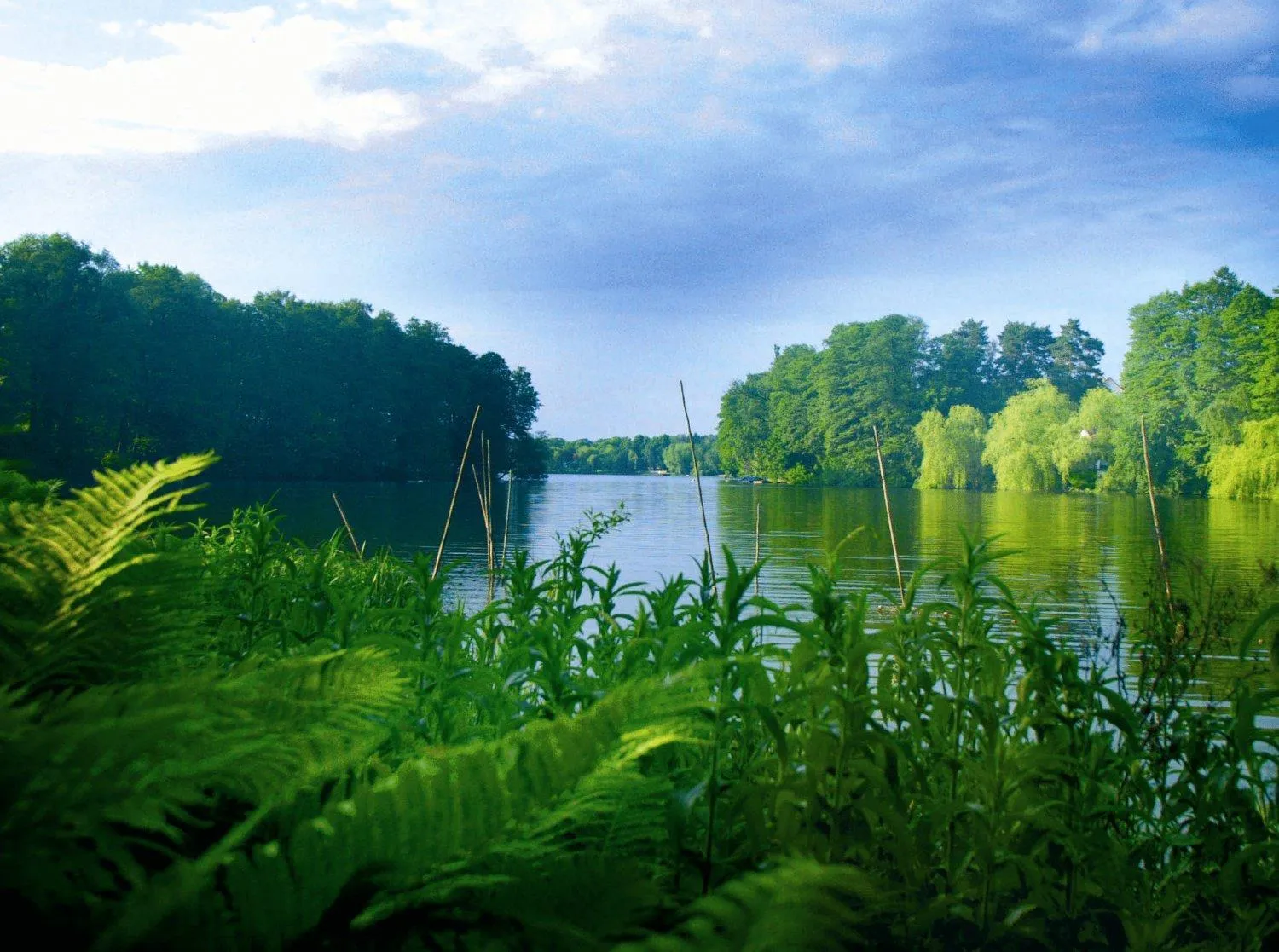 Lake view in Hotel-Restaurant Alter Krug Kallinchen