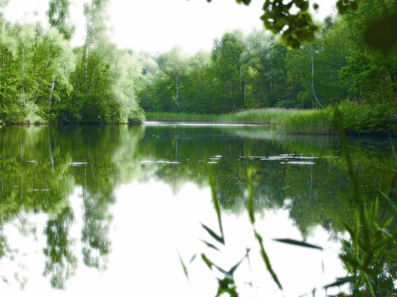 Lake view in Hotel-Restaurant Alter Krug Kallinchen
