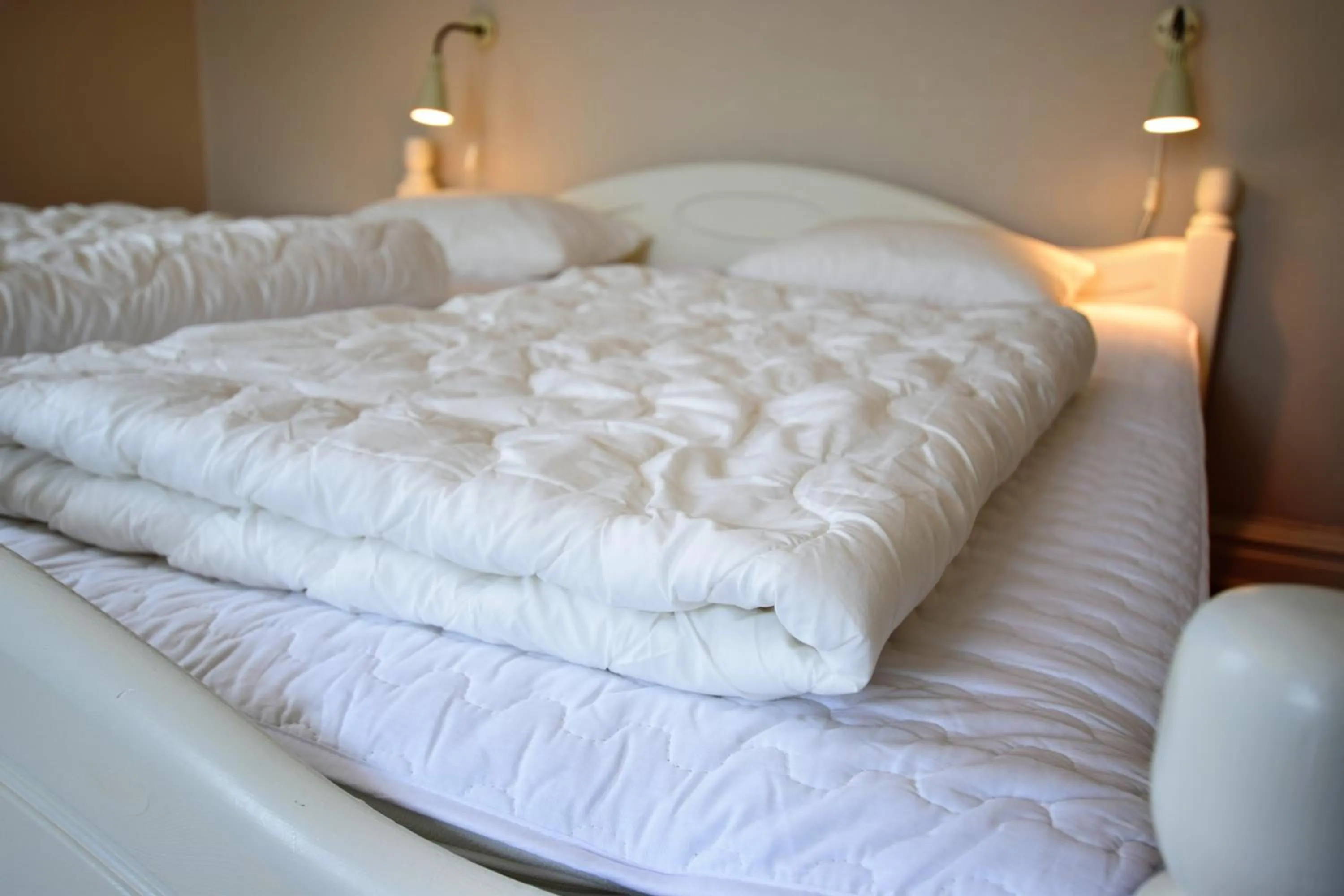 Decorative detail in Bläsinge Gård Kullabygden