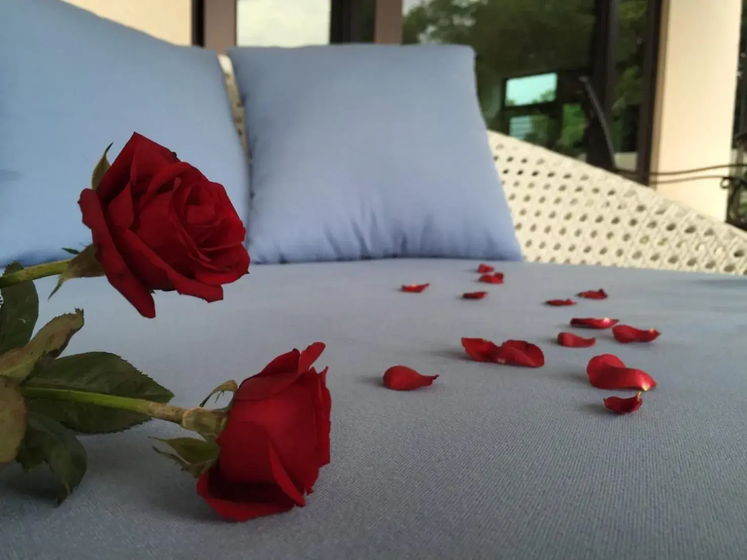 Property building, Bed in Kurumba JiJi B&B Property building, Bed in Kurumba JiJi B&B