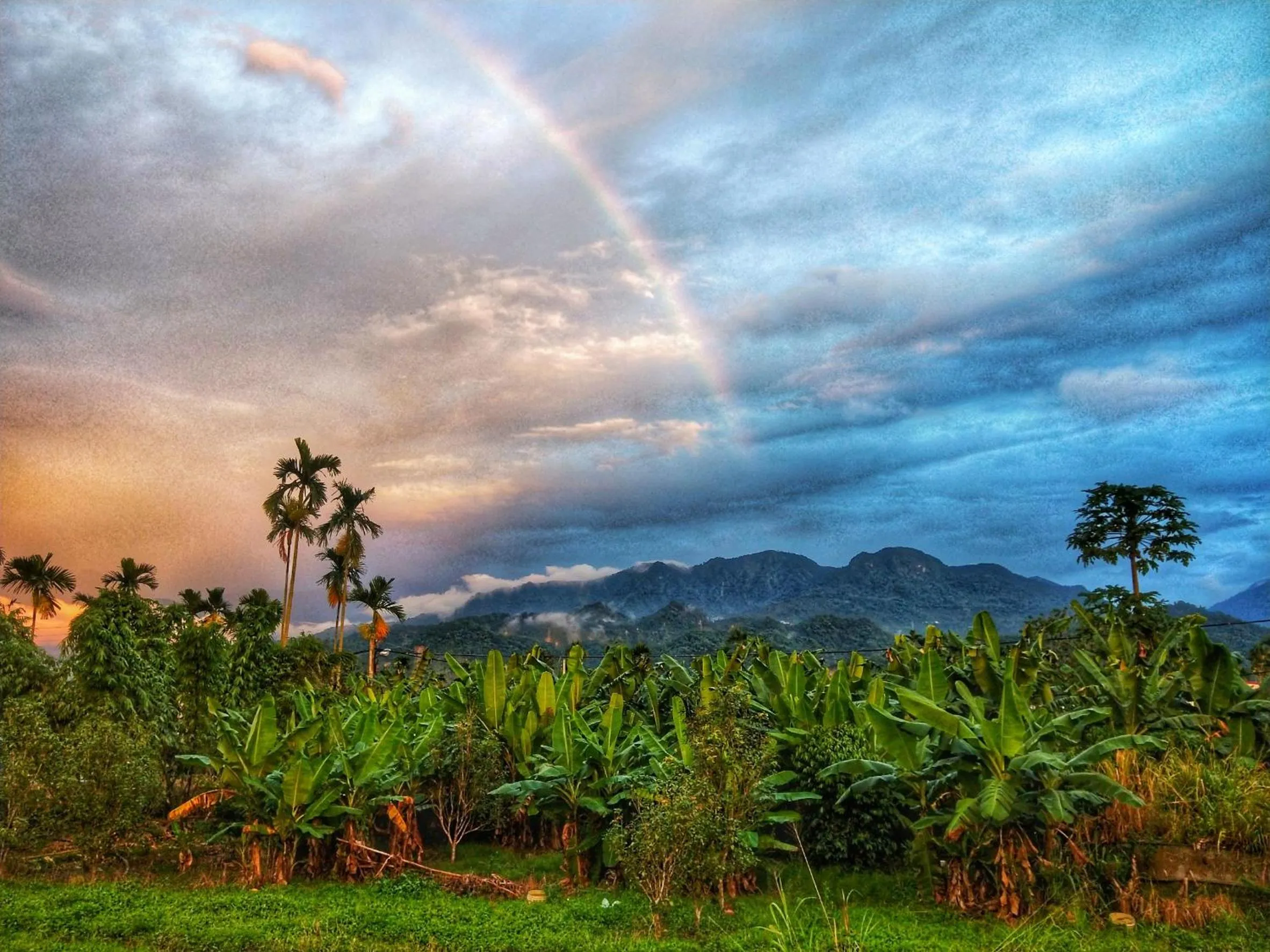 Natural landscape in Kurumba JiJi B&B