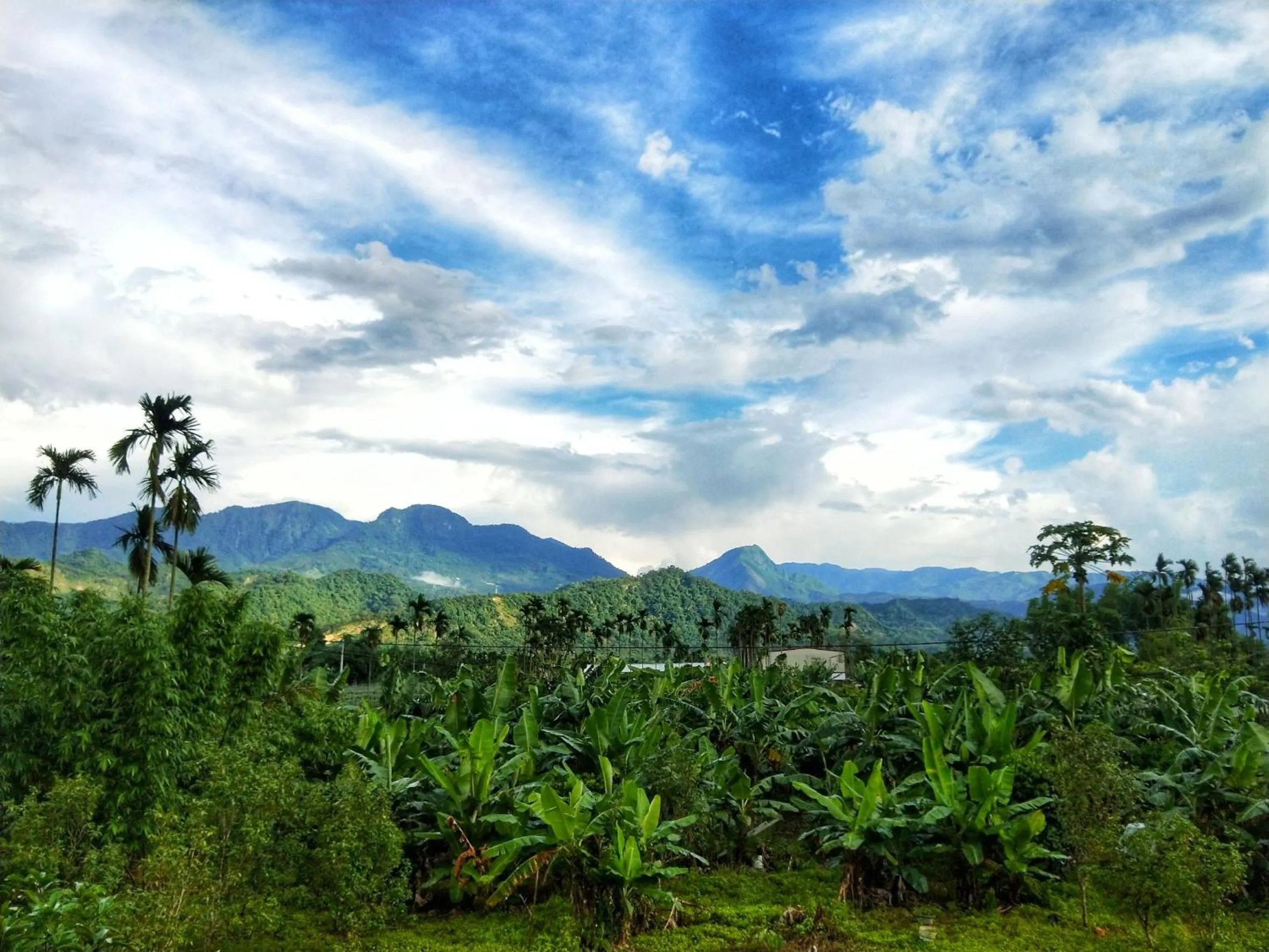 Natural landscape in Kurumba JiJi B&B