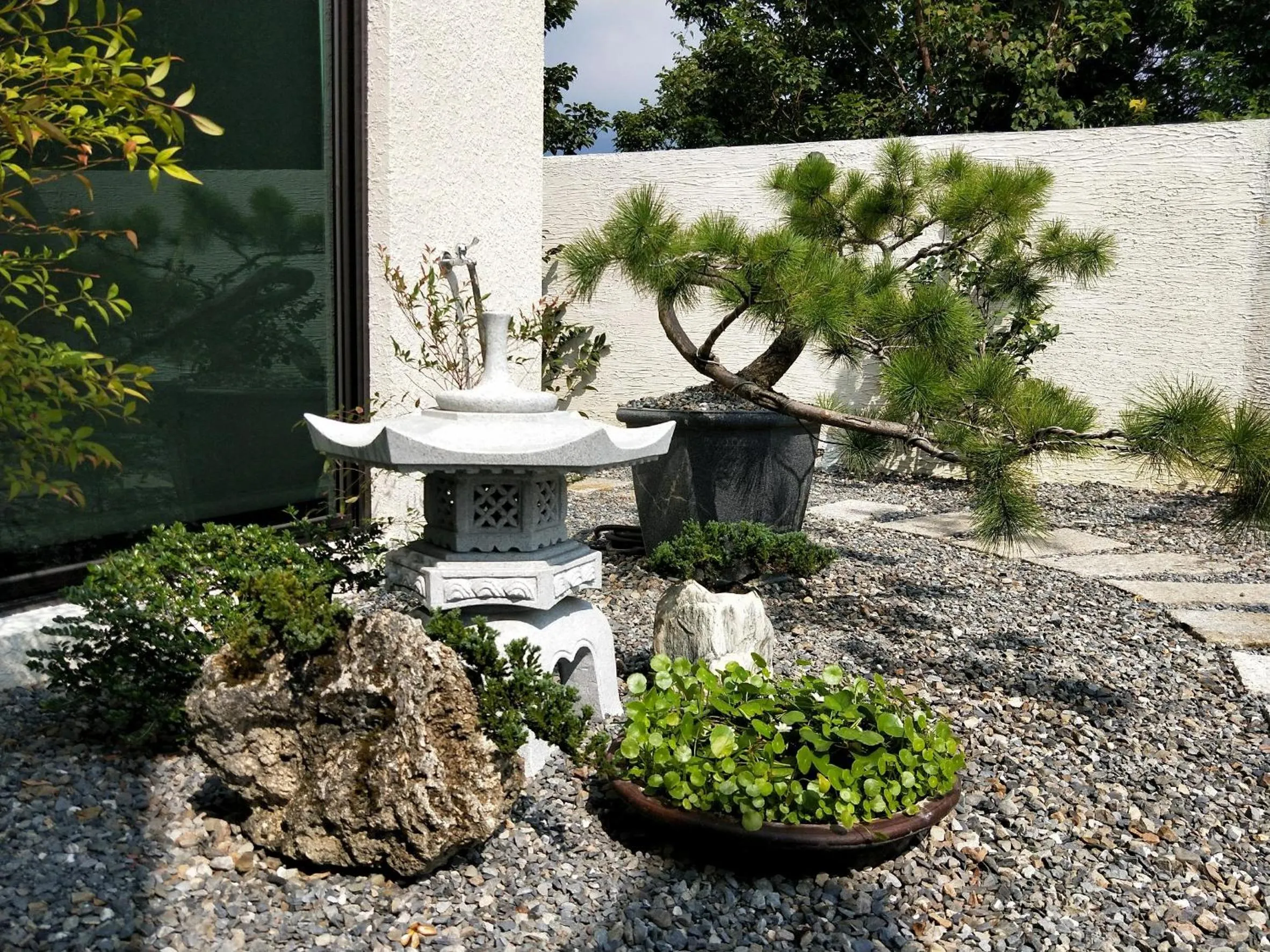 Garden in Kurumba JiJi B&B