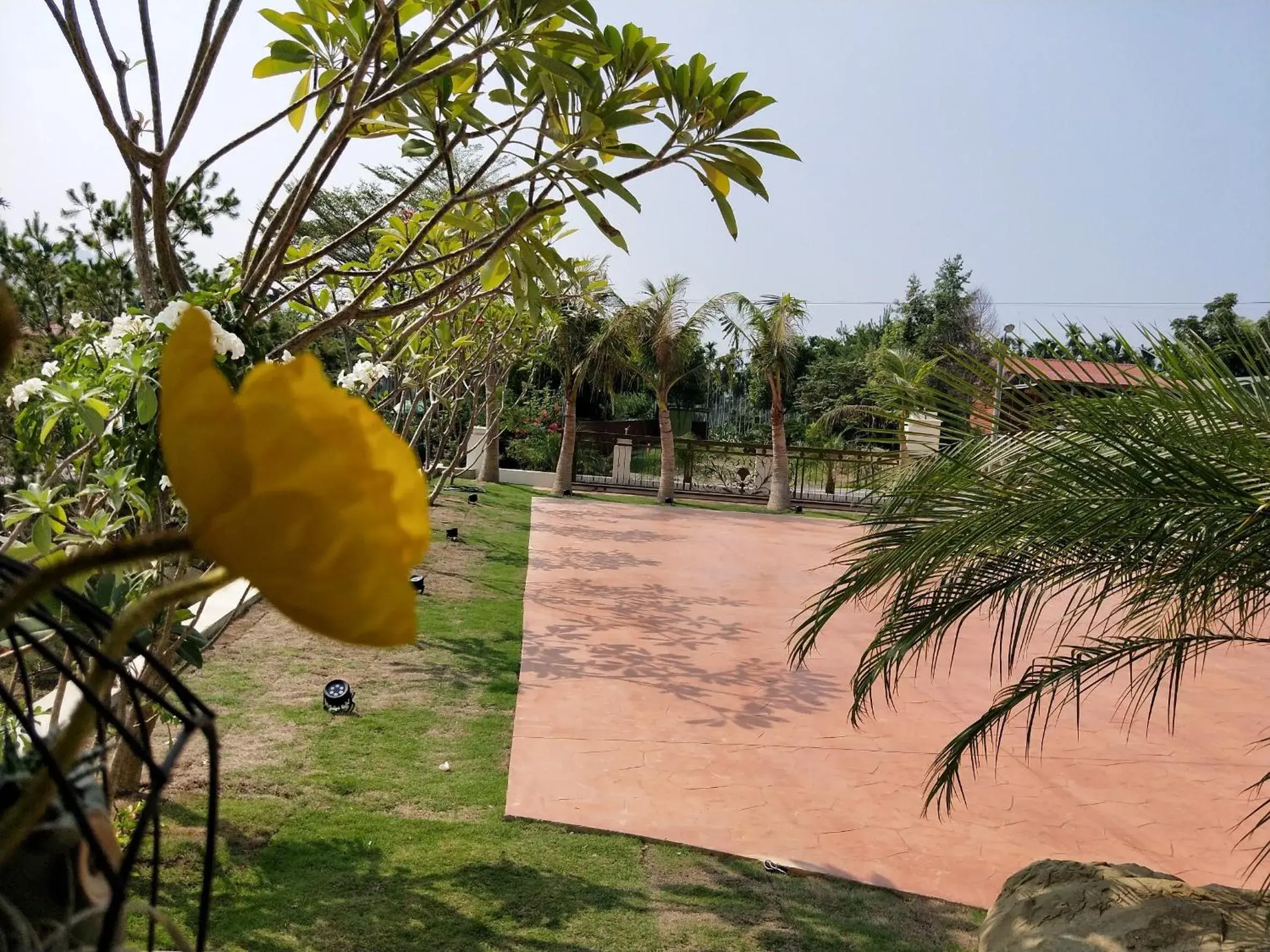 Garden view in Kurumba JiJi B&B Garden view in Kurumba JiJi B&B