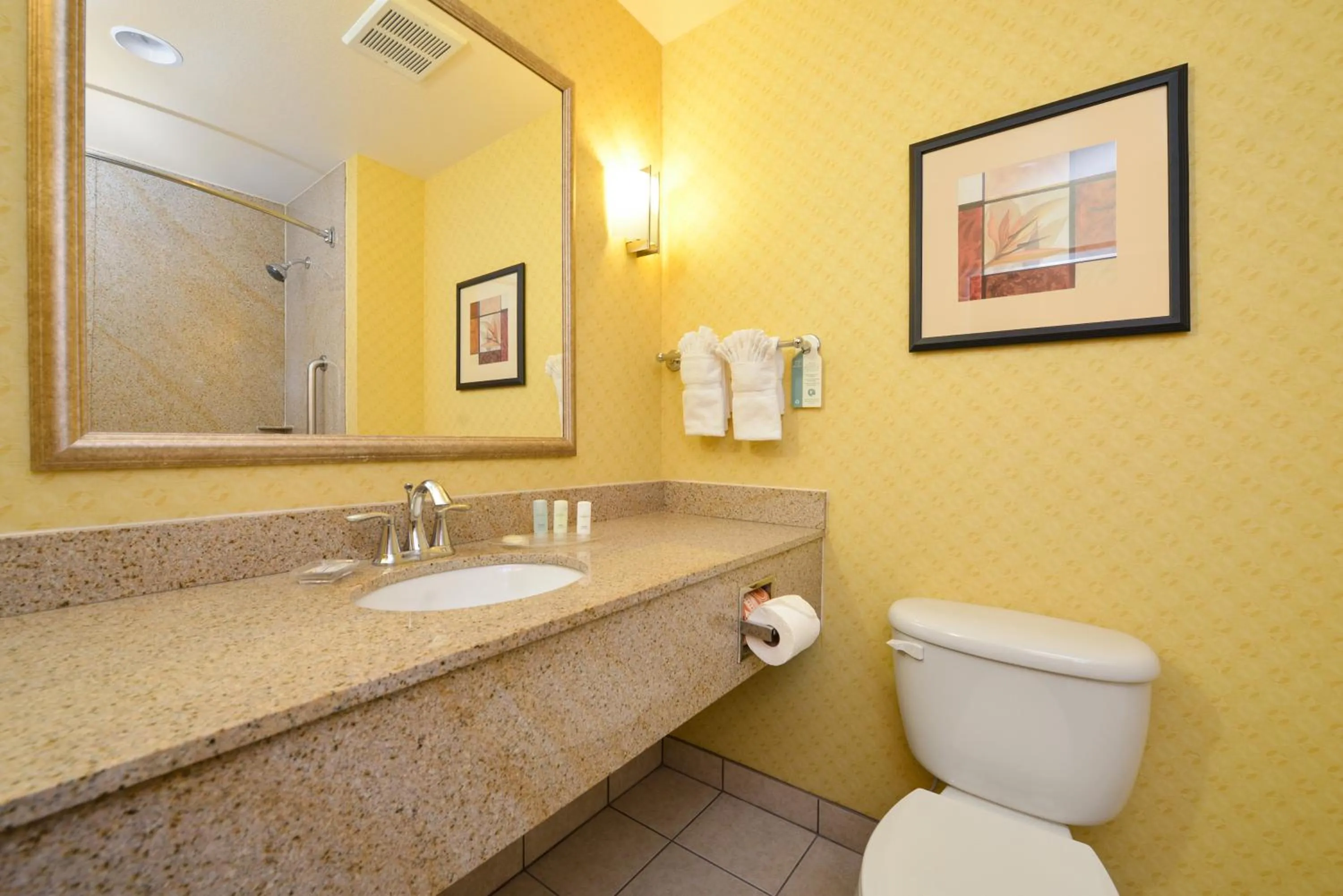 Toilet in Comfort Suites Eugene University