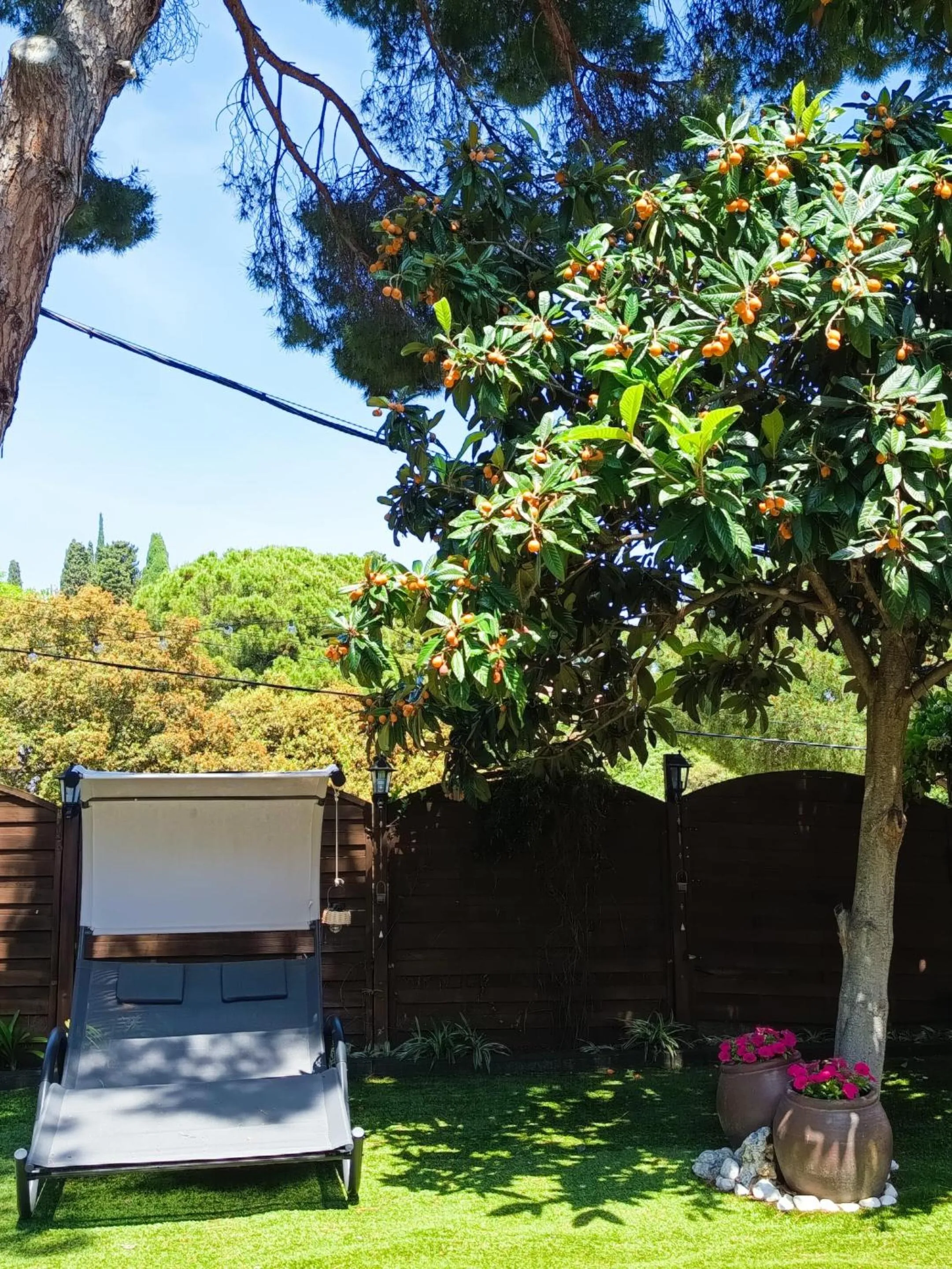 Garden in Cal Music B&B