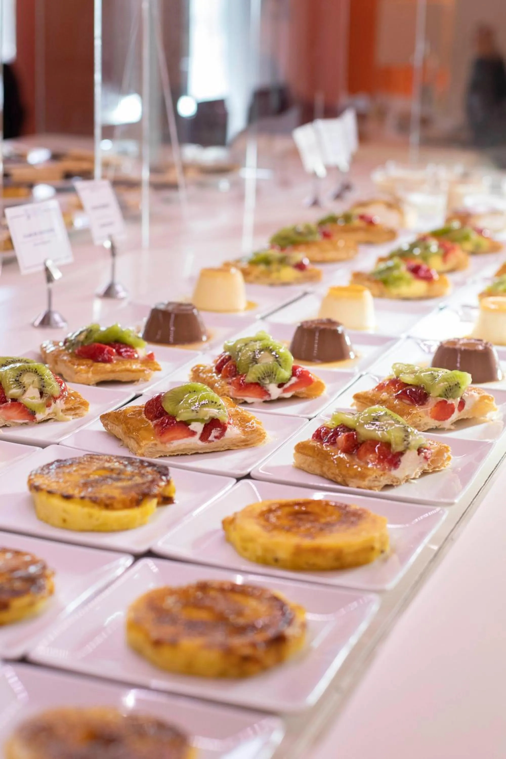 Lunch in Hotel Balneario Prats