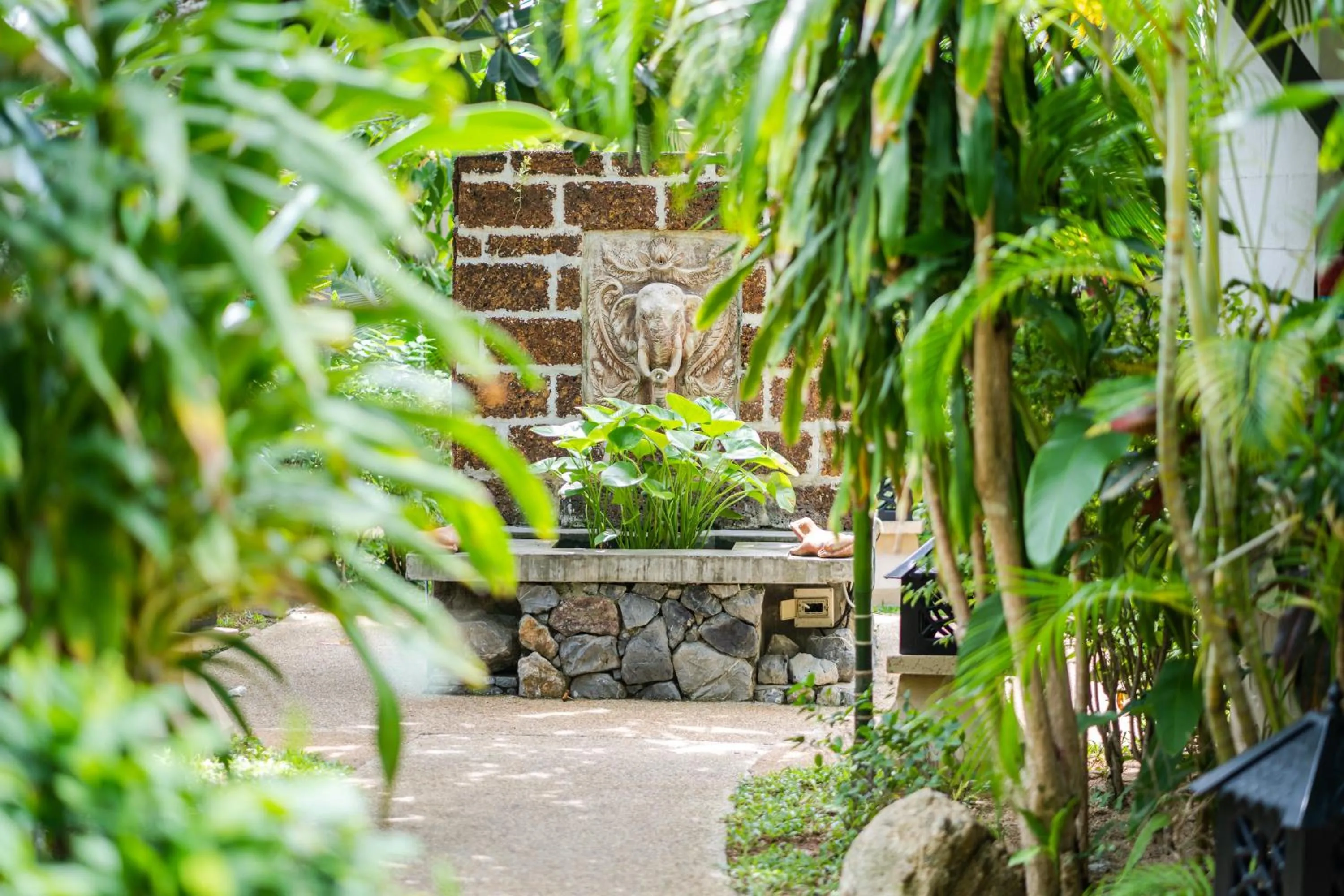 Garden in Rummana Boutique Resort - SHA Plus