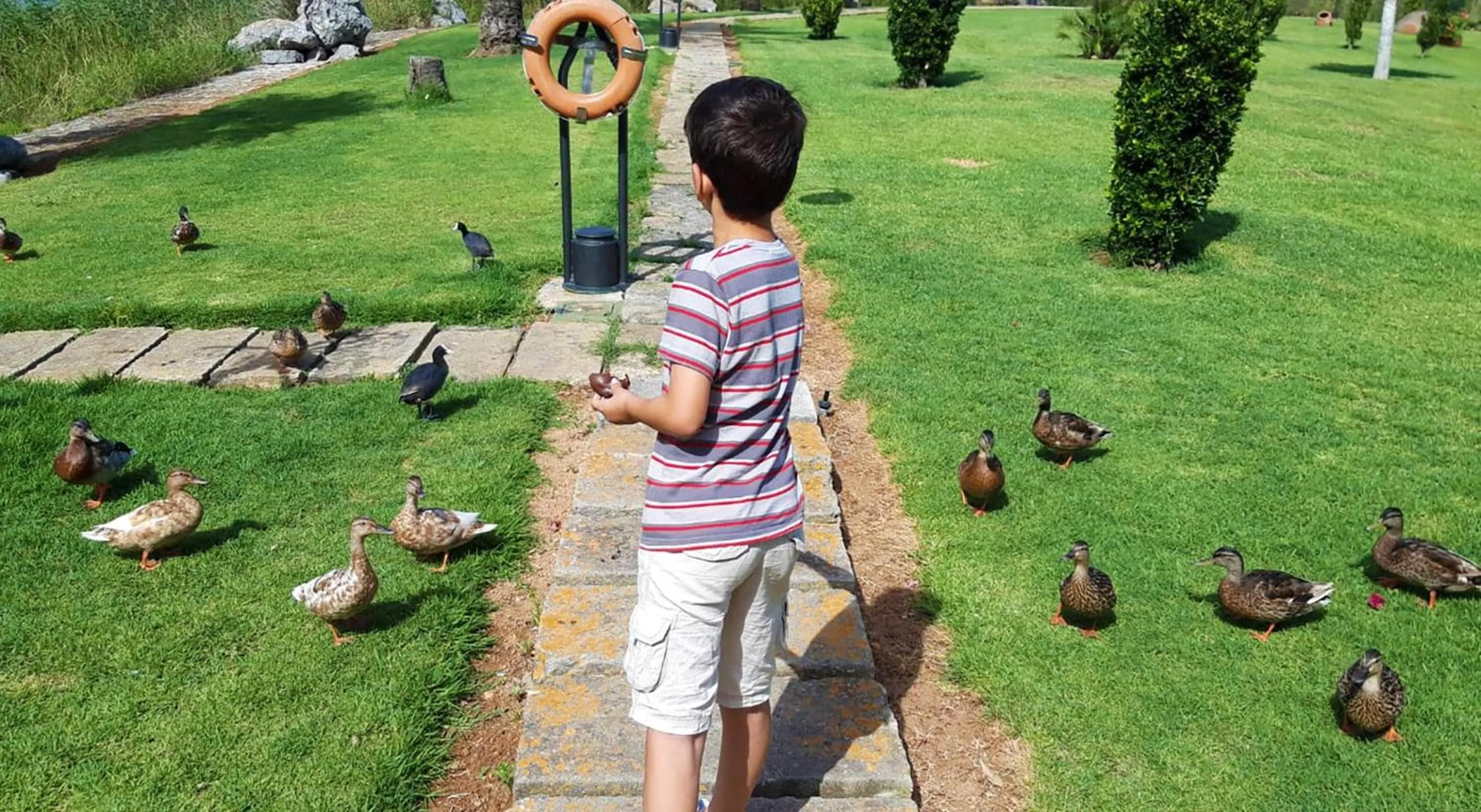 Garden in Eix Lagotel Holiday Resort