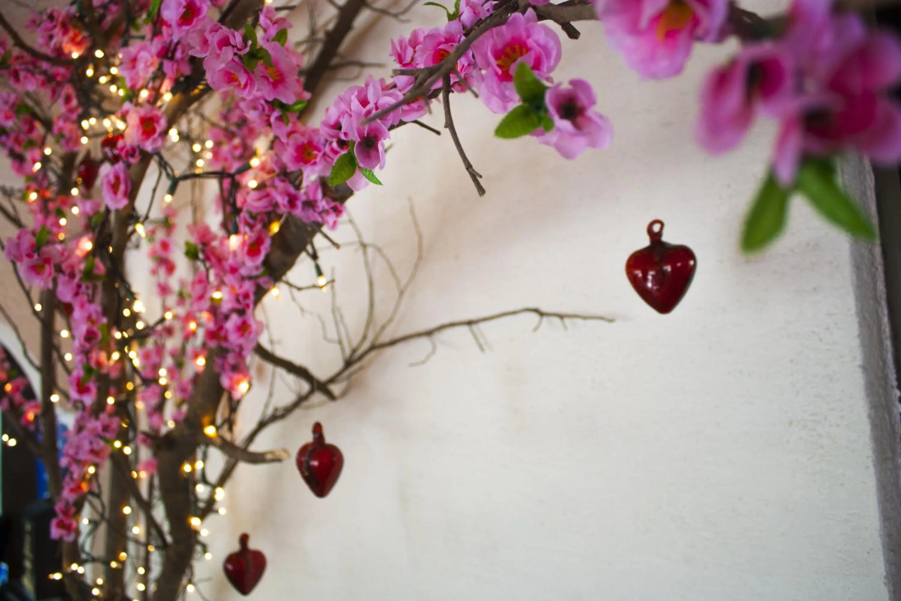 Other in Hotel Puerta Del Sol Guadalajara