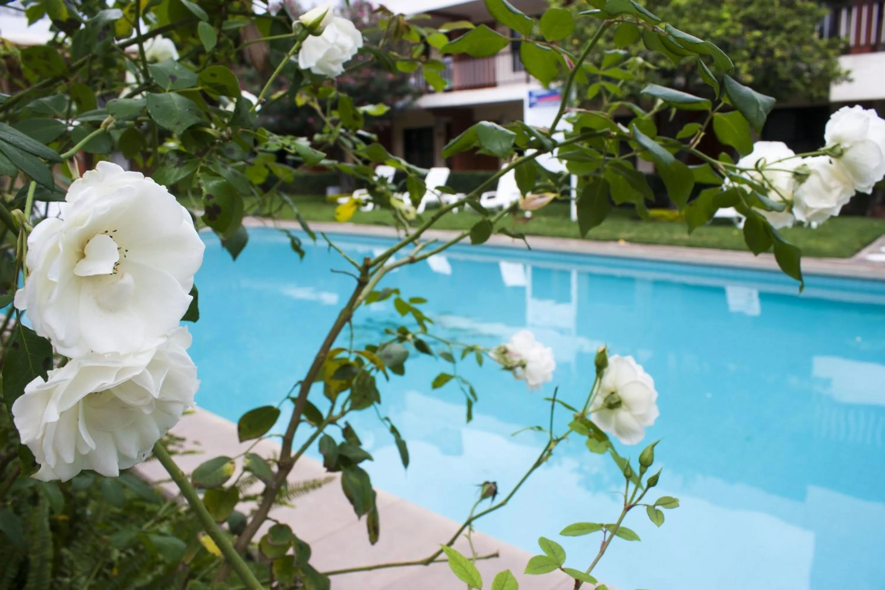 Day in Hotel Puerta Del Sol Guadalajara