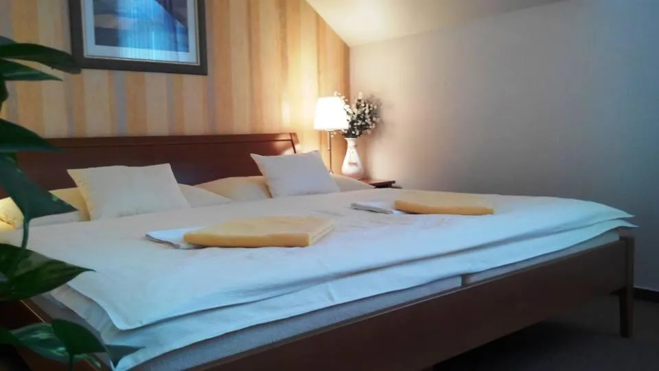 Photo of the whole room, Bed in Pension U Labe