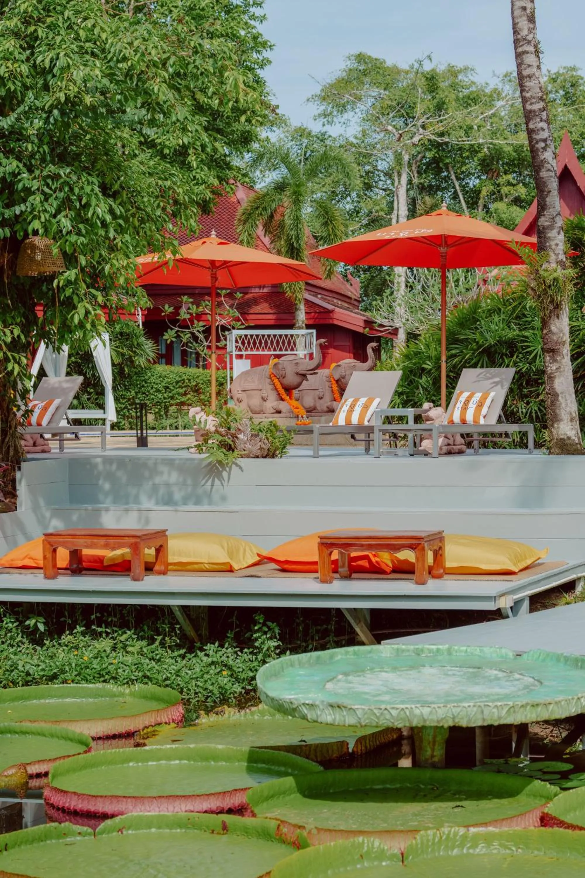 sunbed in Ma Doo Bua Stay - SHA Extra Plus