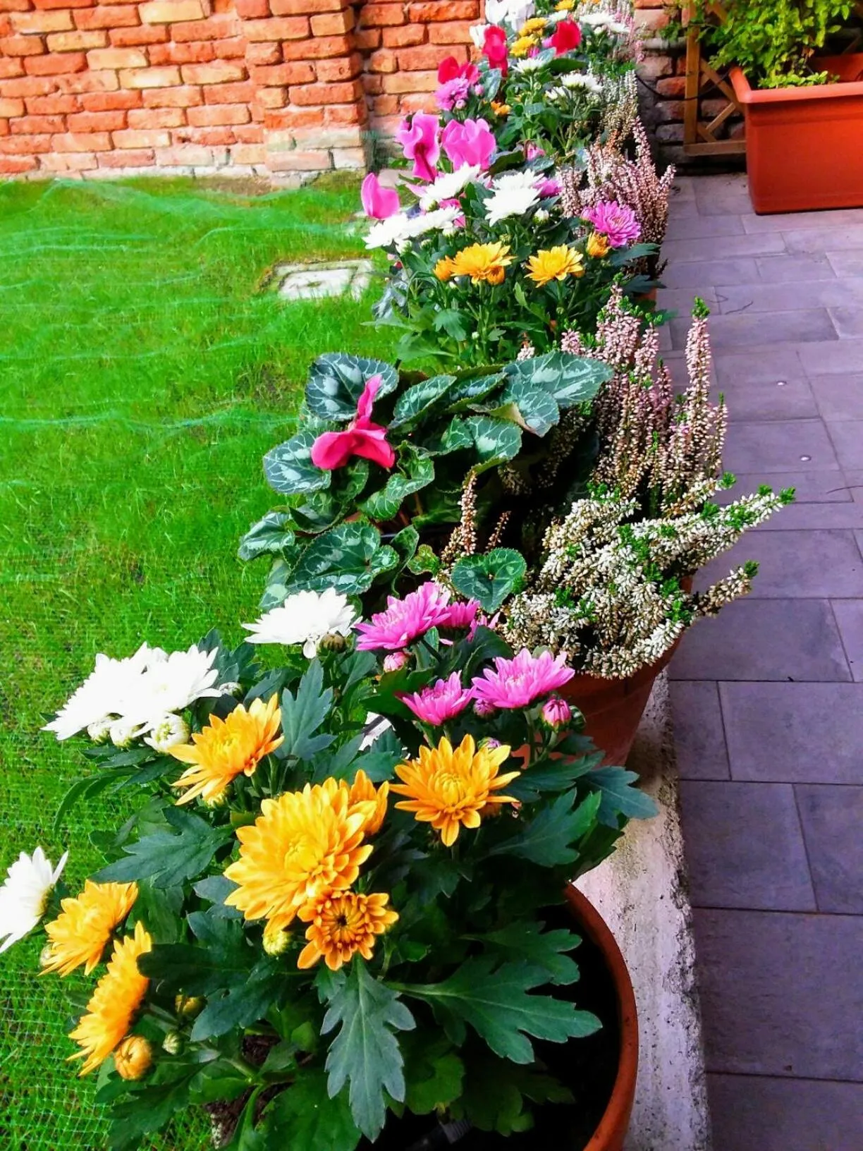 B&B HORTUS