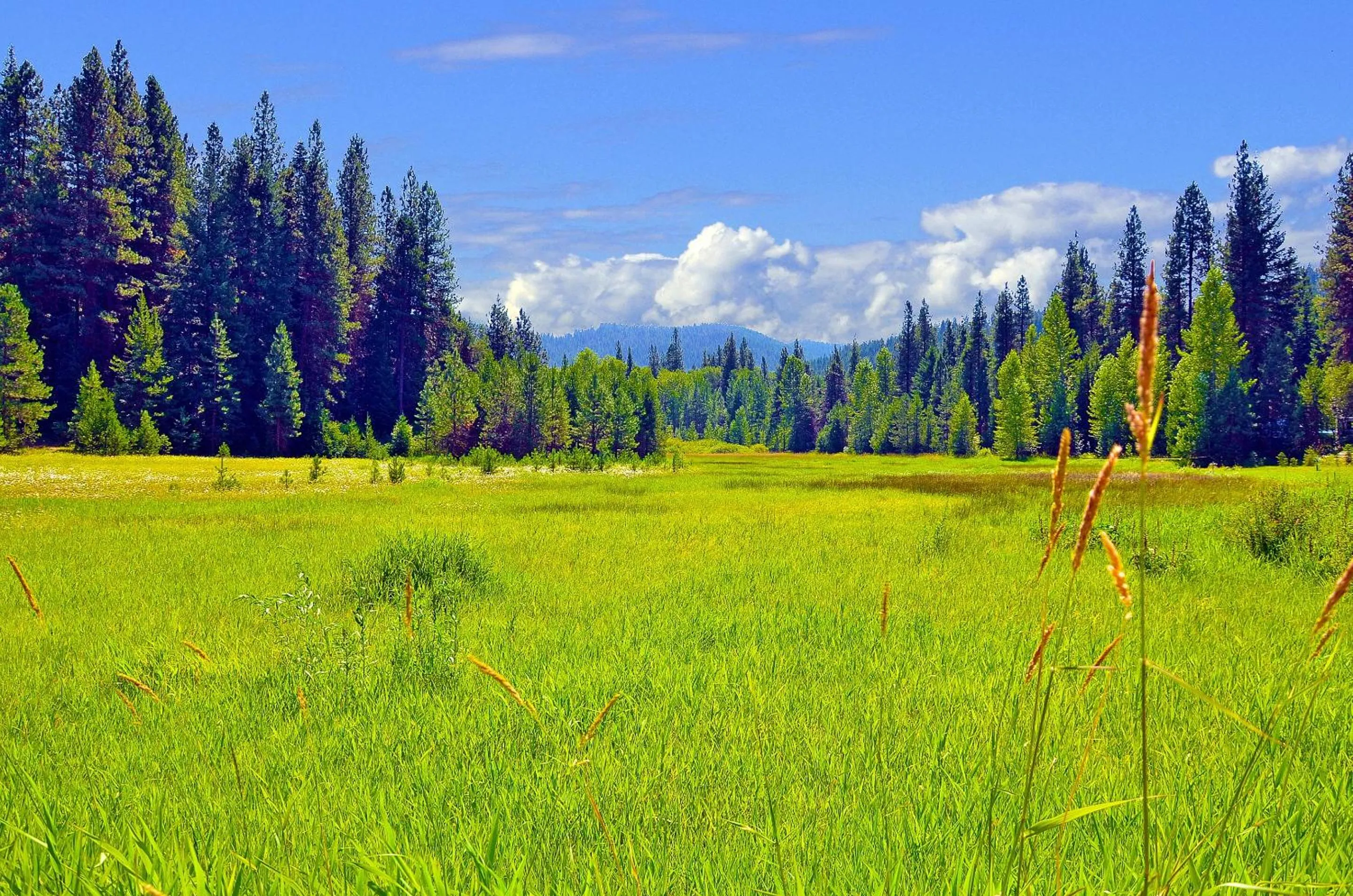 Leavenworth Camping Resort Tiny House Belle