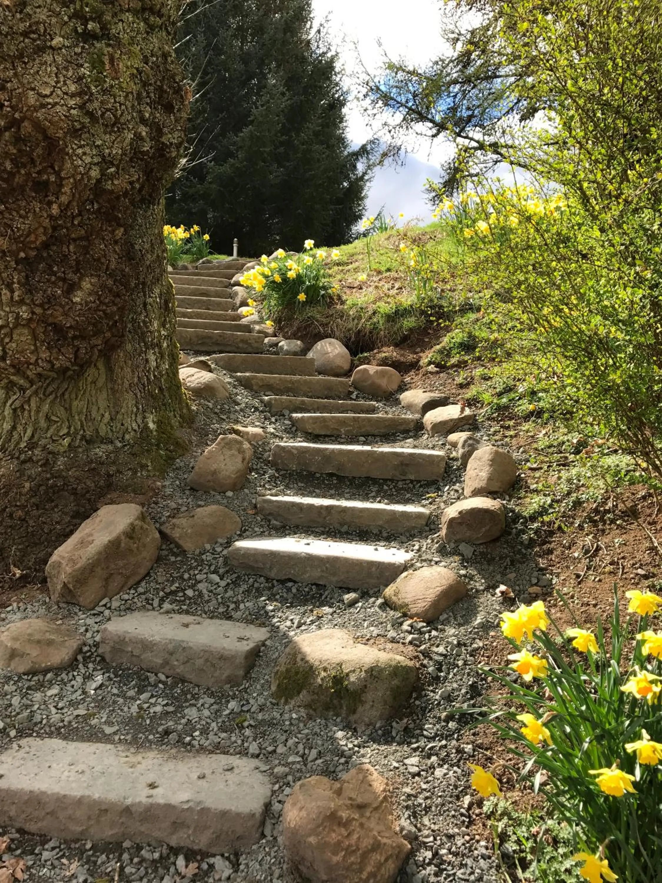 Loch Monzievaird Chalets