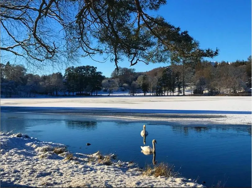 Loch Monzievaird Chalets