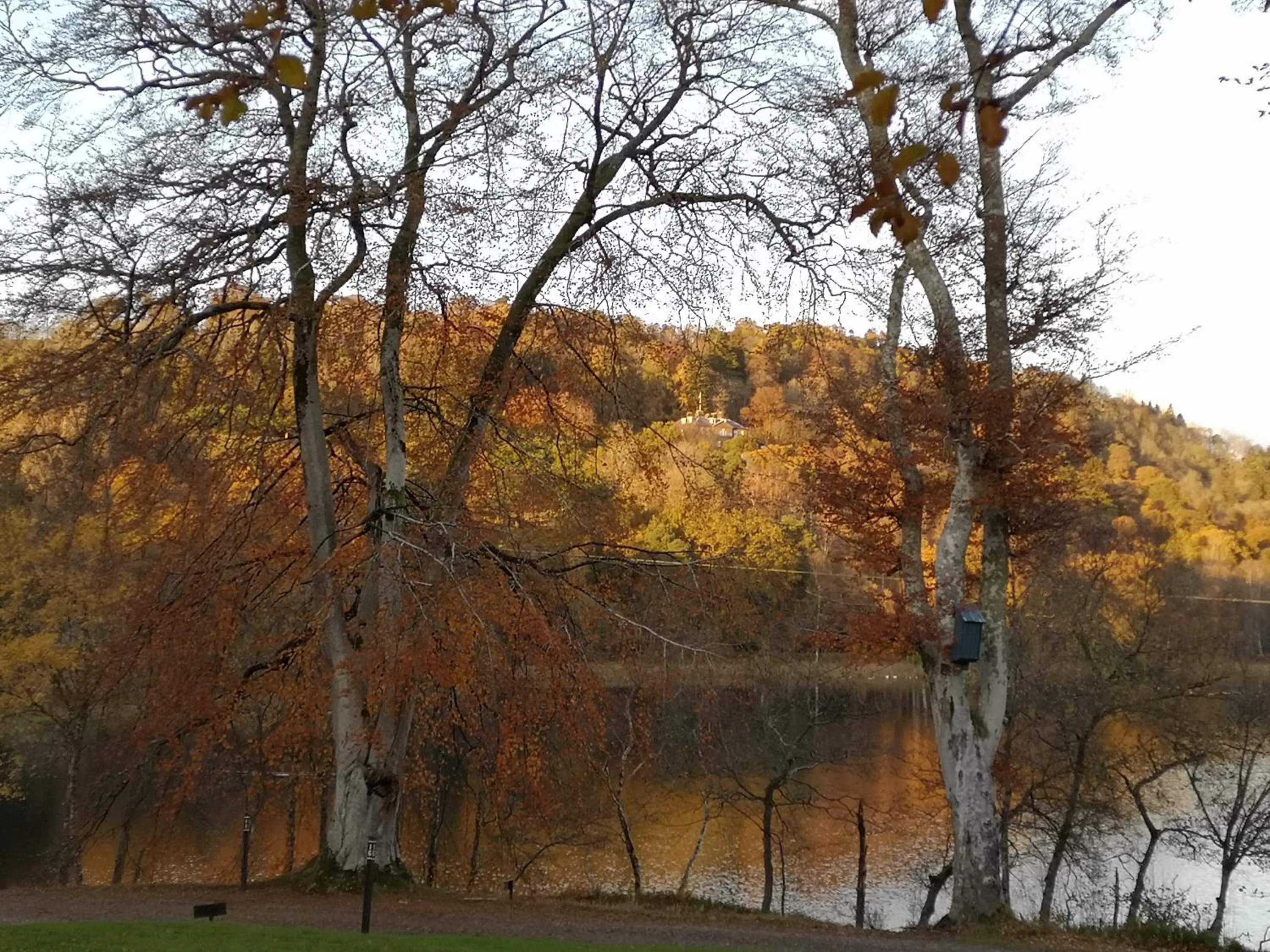 Loch Monzievaird Chalets