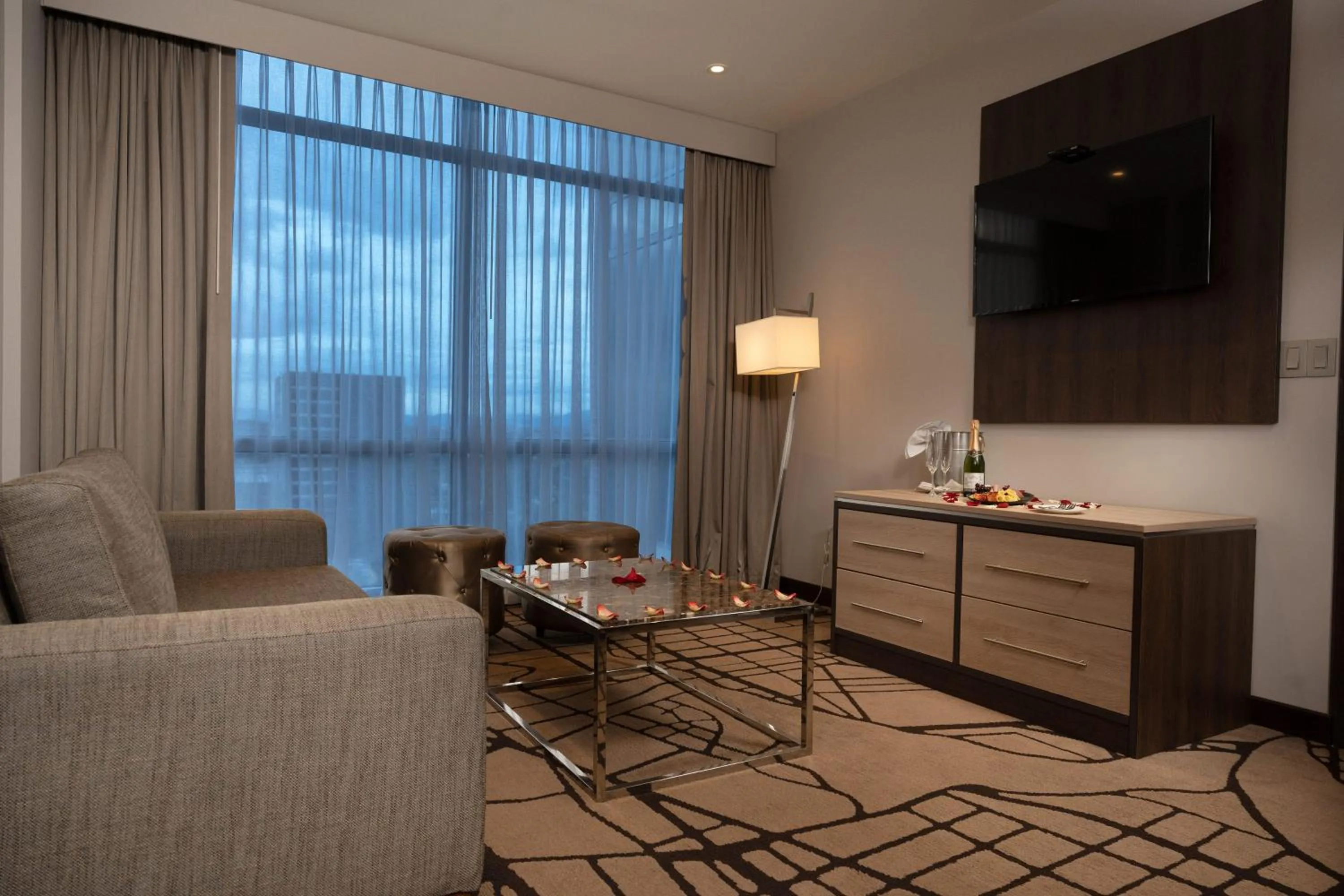 Living room in Hilton Garden Inn Bogota Airport