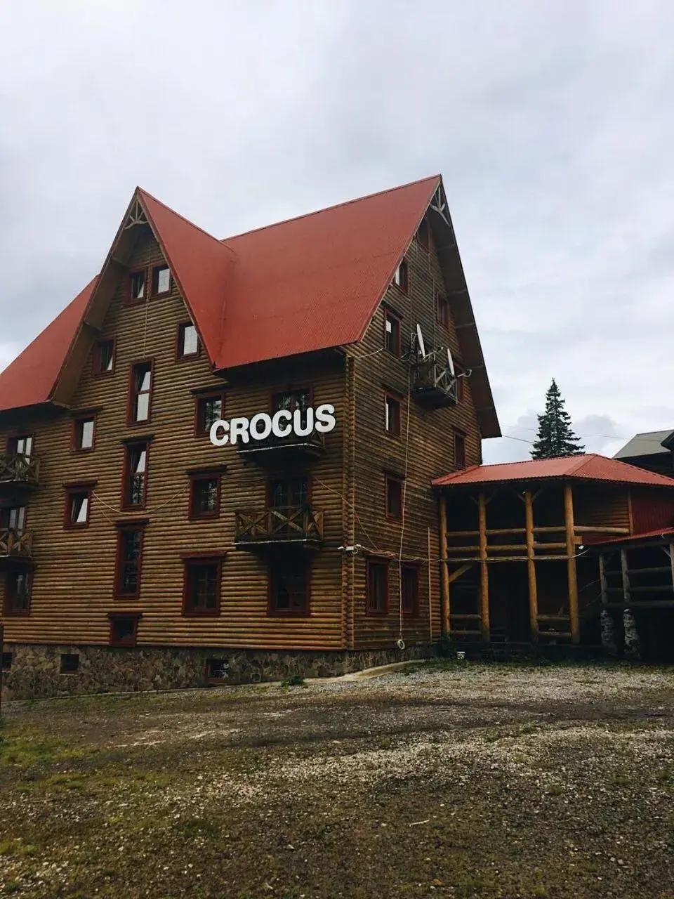 Crocus Crocus