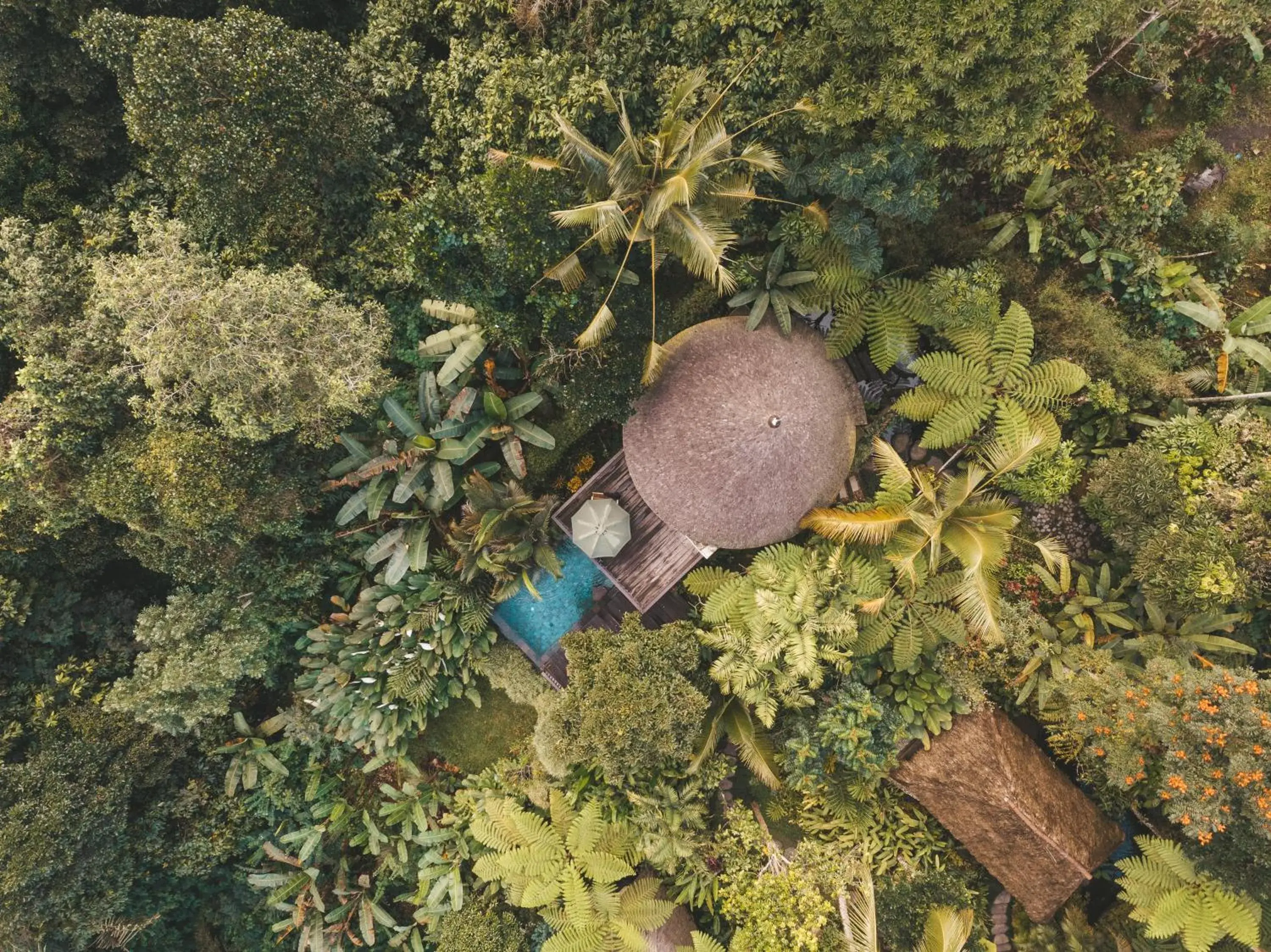 Bird's eye view in Adiwana Dara Ayu Villas Bird's eye view in Adiwana Dara Ayu Villas