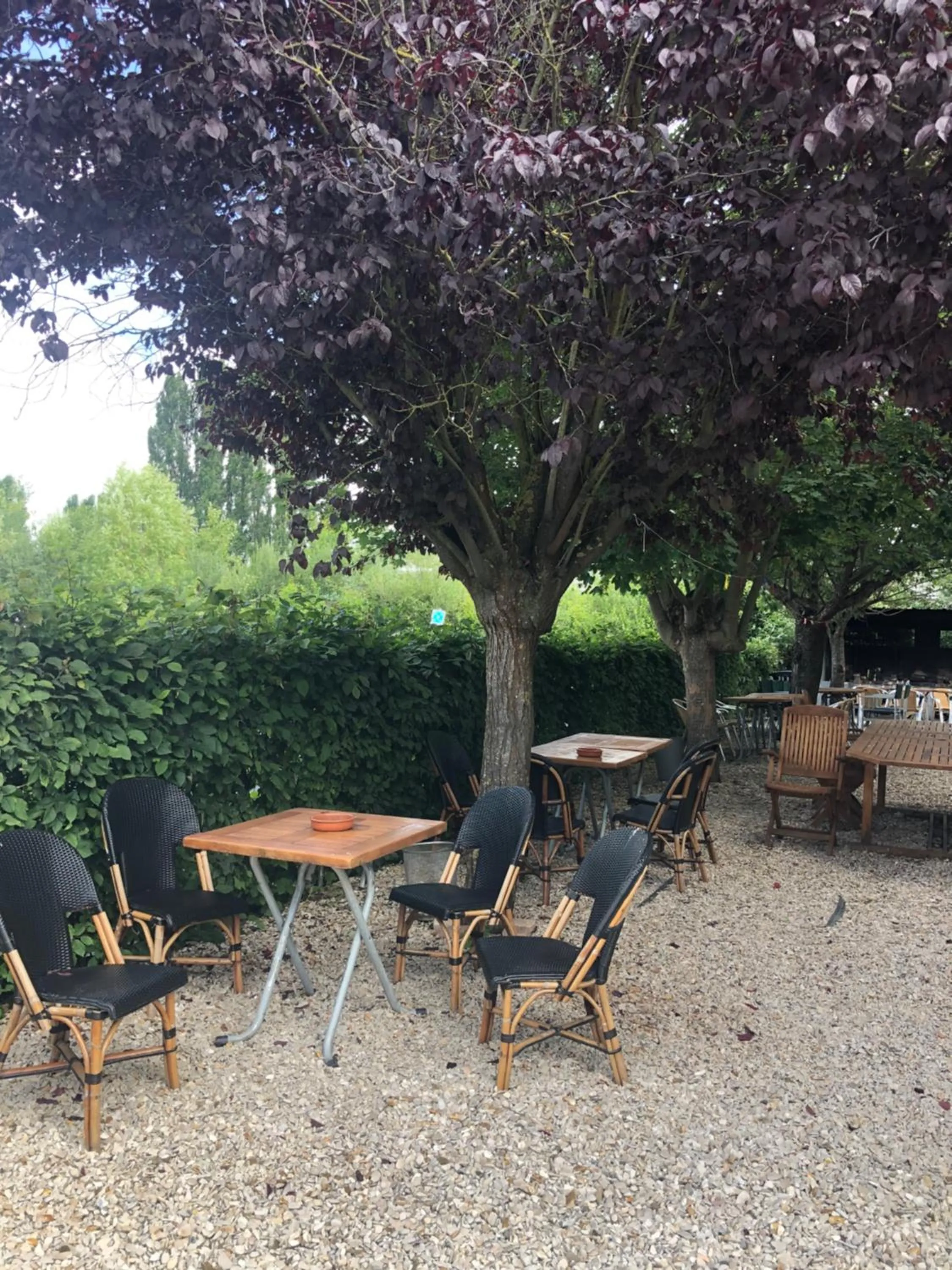 BBQ facilities in PARIS par trains, AREA, Studios avec salle de bain et kitchenette Privées, OU, chambres avec salles bain et cuisines communes