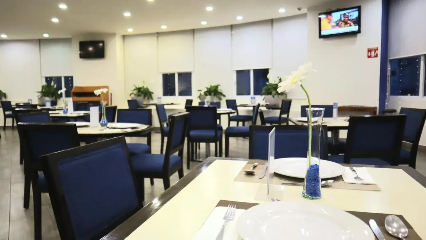 Restaurant/places to eat in Mision Puebla Angelopolis Restaurant/places to eat in Mision Puebla Angelopolis