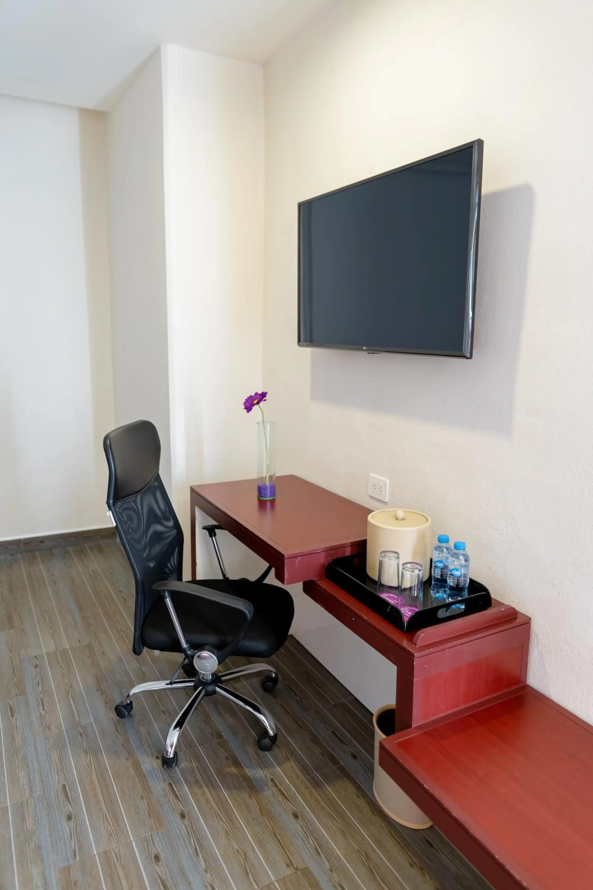 TV and multimedia in Mision Puebla Angelopolis