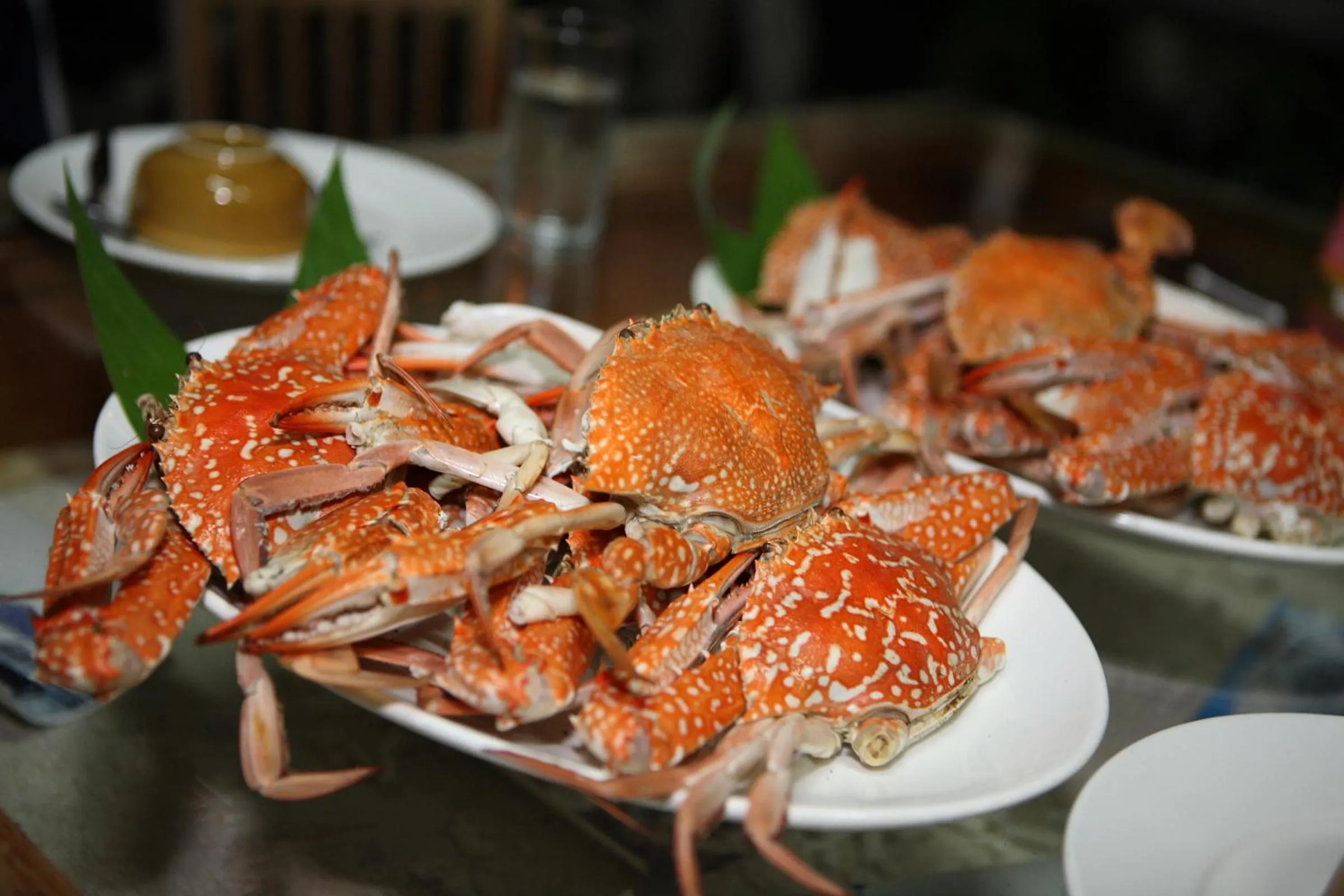 Restaurant/places to eat in Salakphet Resort