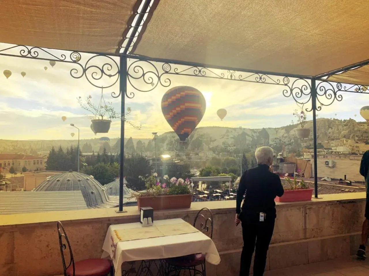 Walnut House Walnut House