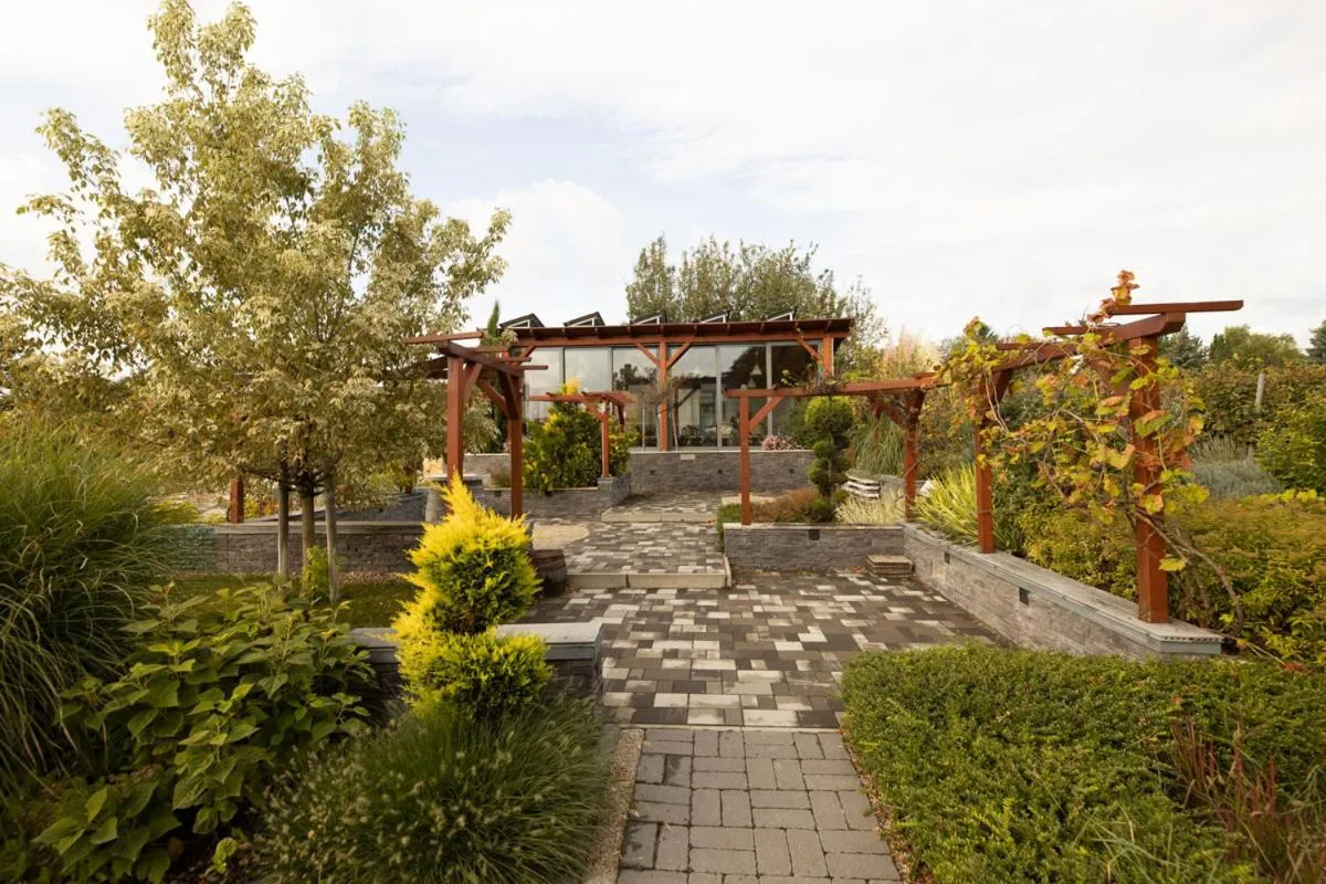 Garden view in Flamingó Panzió és Borház