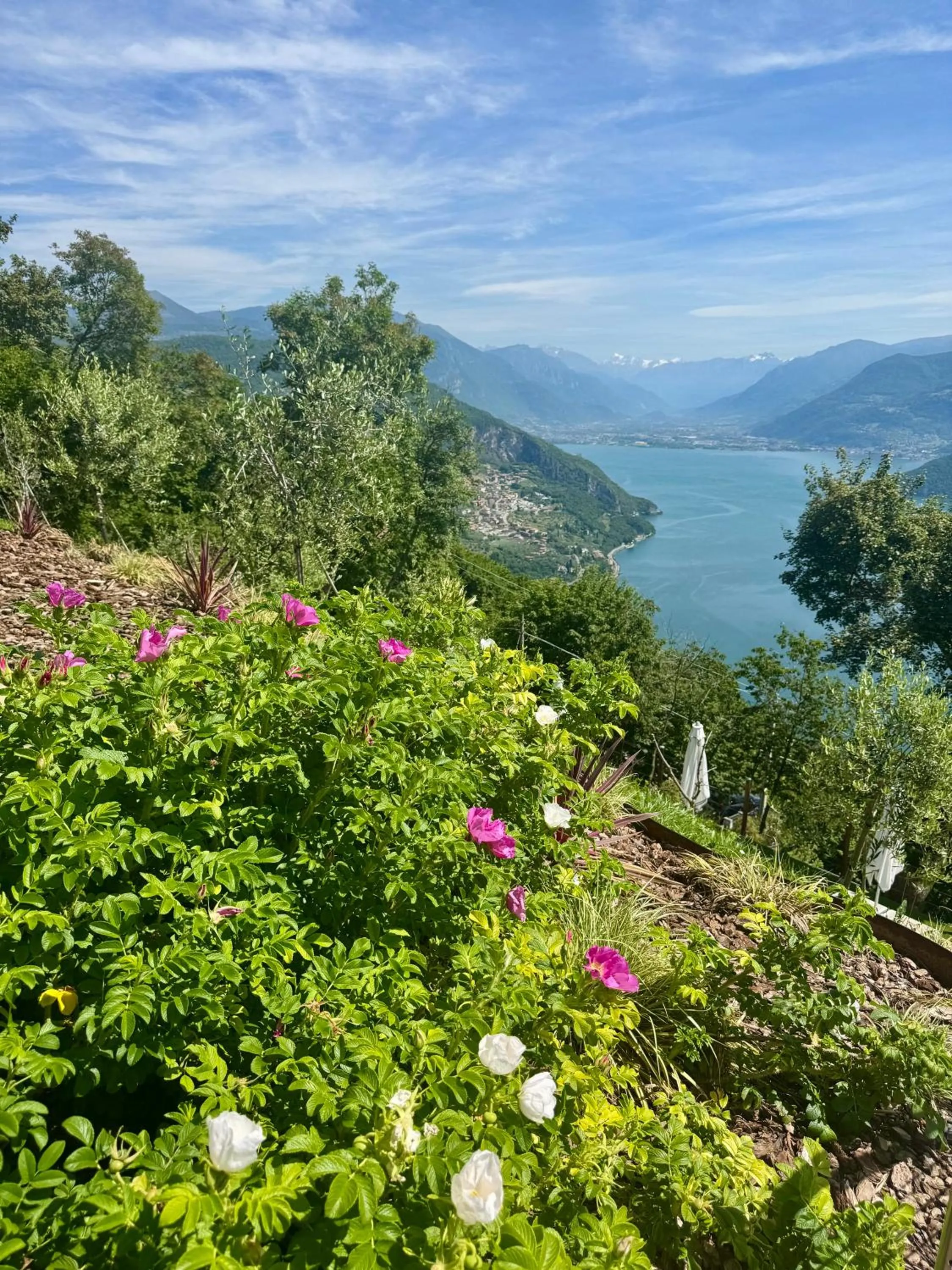 Mountain view in Esprit D'Hotel Panoramico