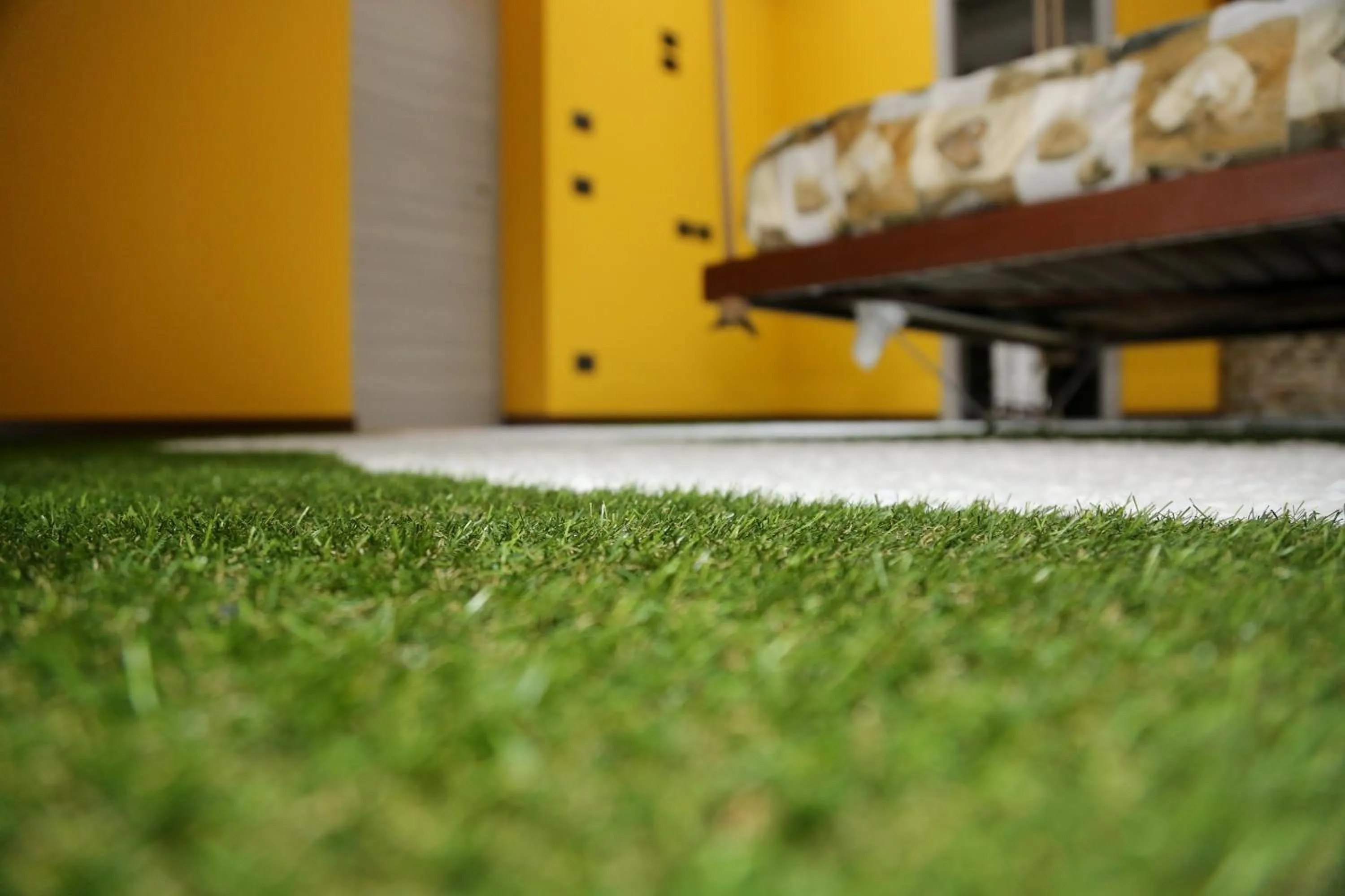 Decorative detail in Thematic Rooms - AThema Atmosphere